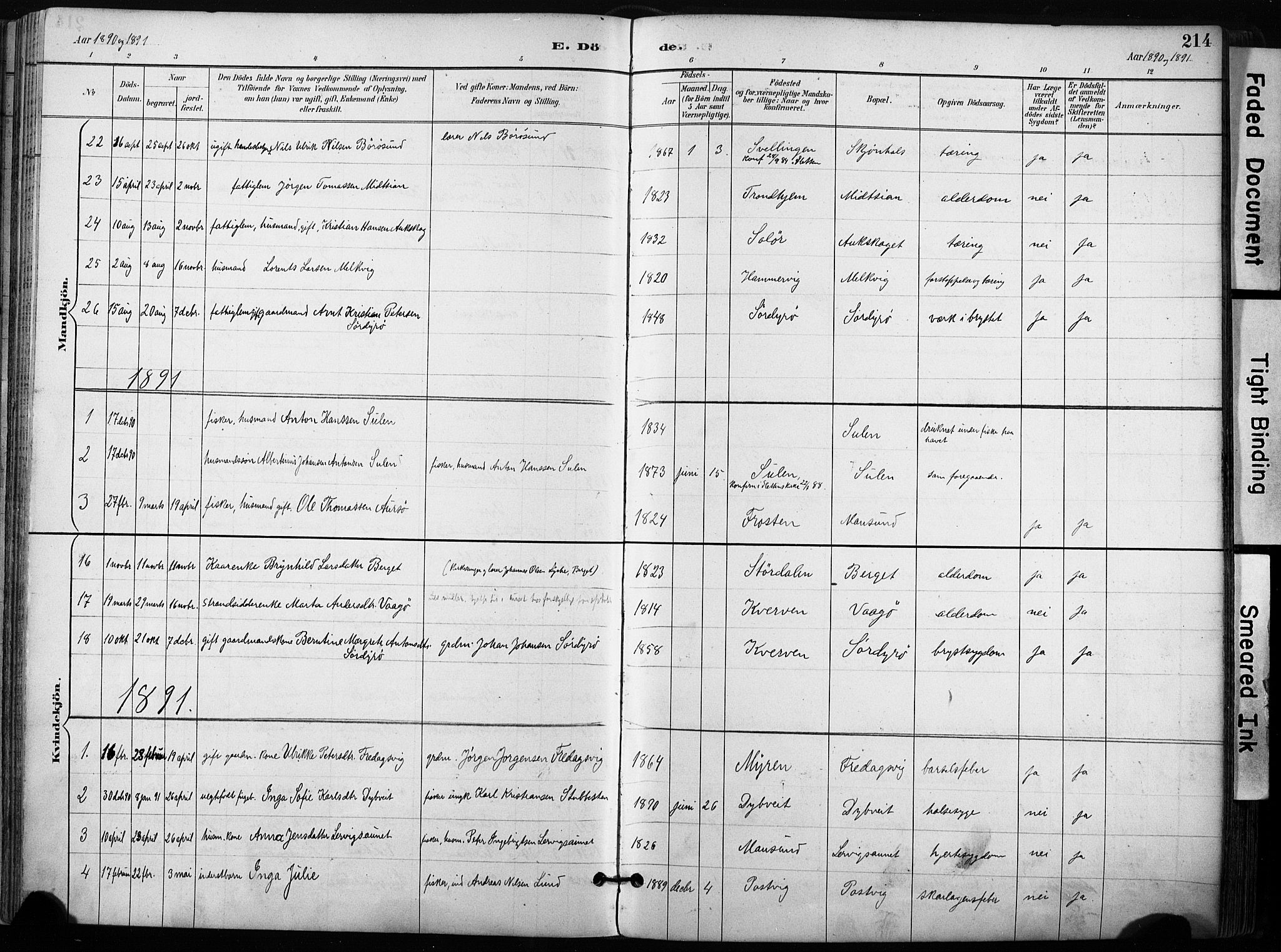 Ministerialprotokoller, klokkerbøker og fødselsregistre - Sør-Trøndelag, SAT/A-1456/640/L0579: Parish register (official) no. 640A04, 1889-1902, p. 214