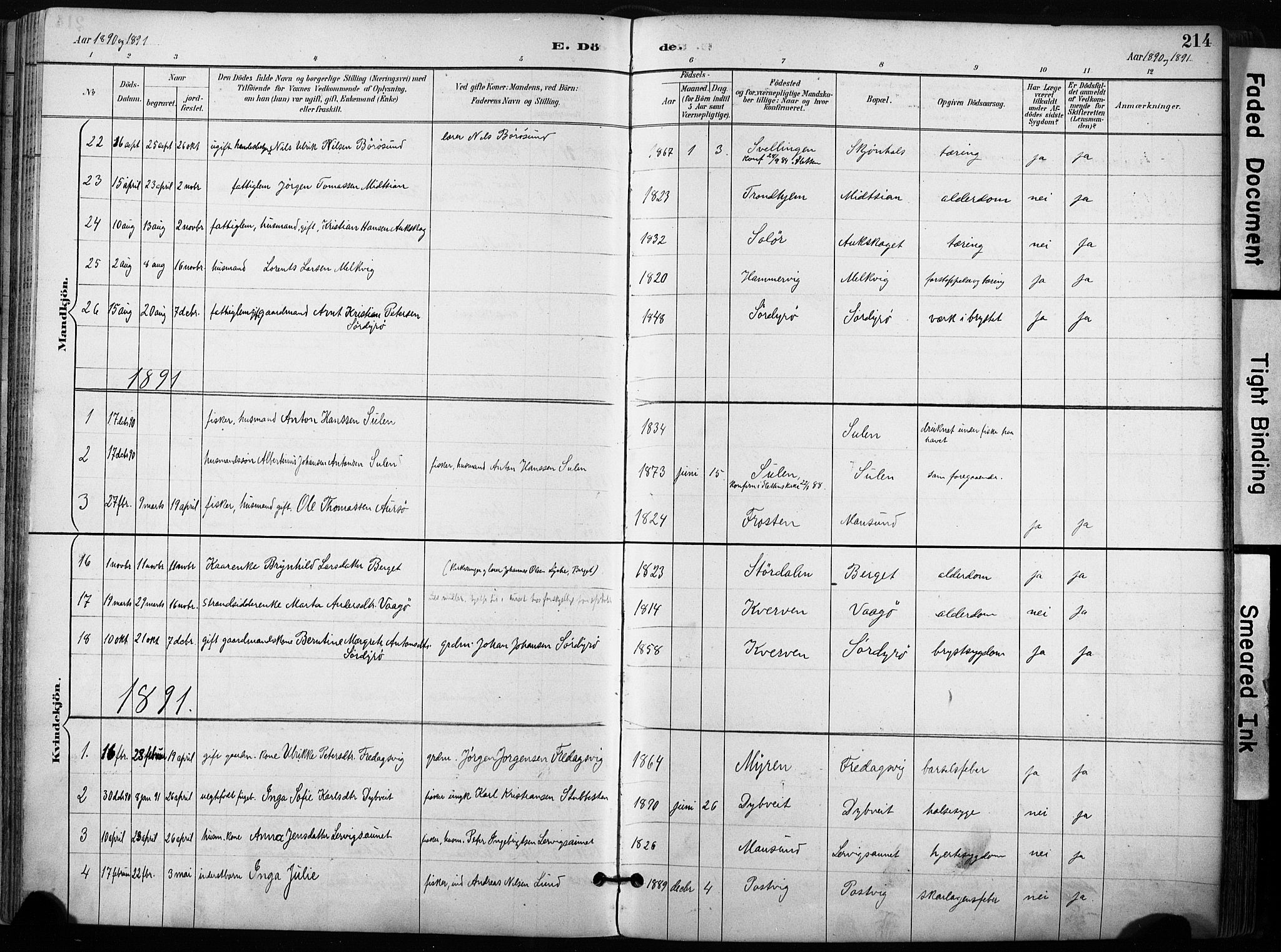 Ministerialprotokoller, klokkerbøker og fødselsregistre - Sør-Trøndelag, AV/SAT-A-1456/640/L0579: Parish register (official) no. 640A04, 1889-1902, p. 214