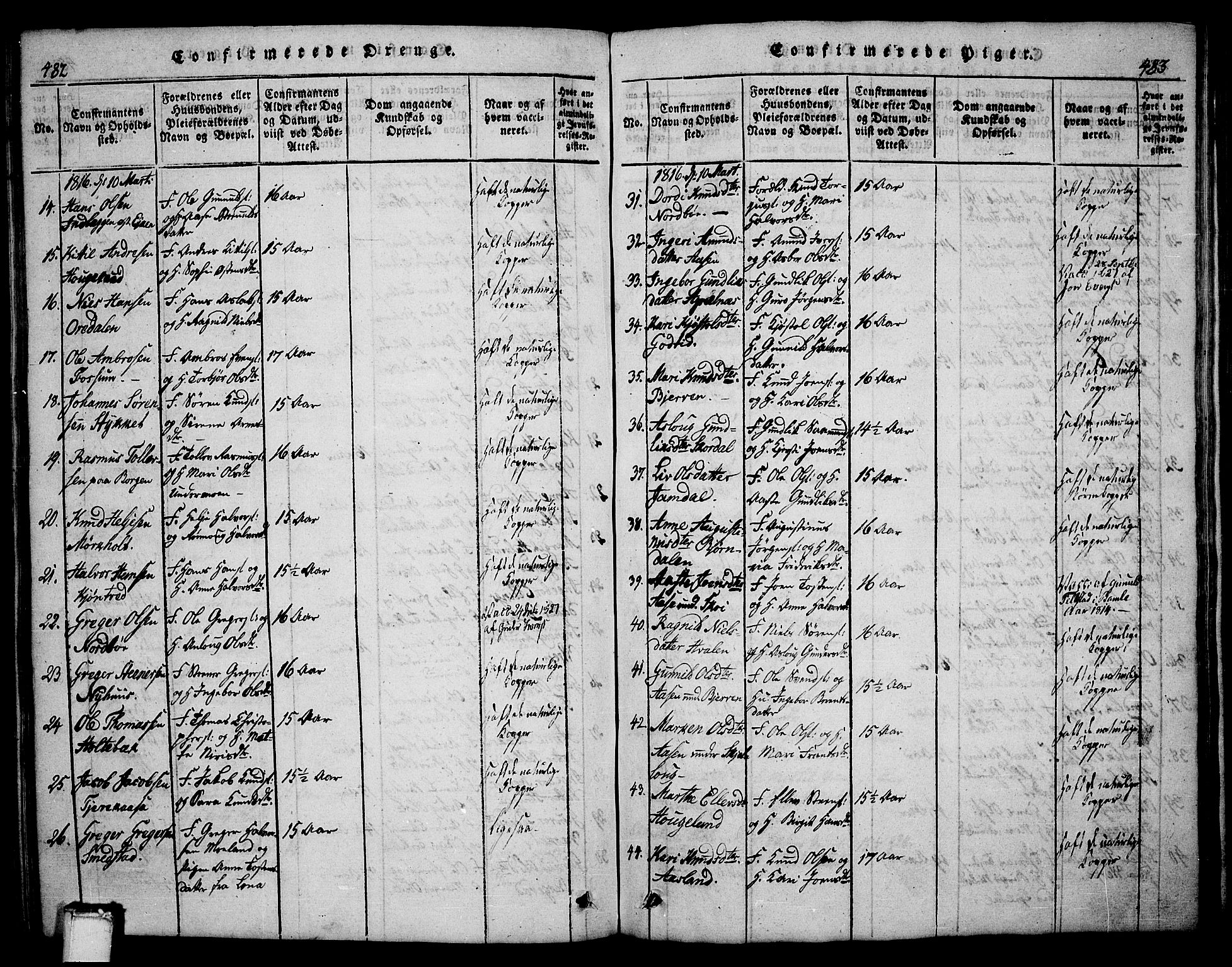 Bø kirkebøker, AV/SAKO-A-257/G/Ga/L0001: Parish register (copy) no. 1, 1815-1831, p. 482-483