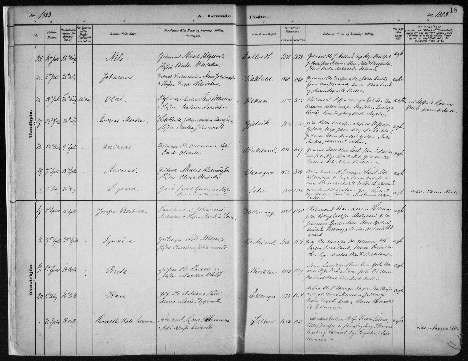 Hamre sokneprestembete, AV/SAB-A-75501/H/Ha/Haa/Haab/L0001: Parish register (official) no. B  1, 1882-1905, p. 18