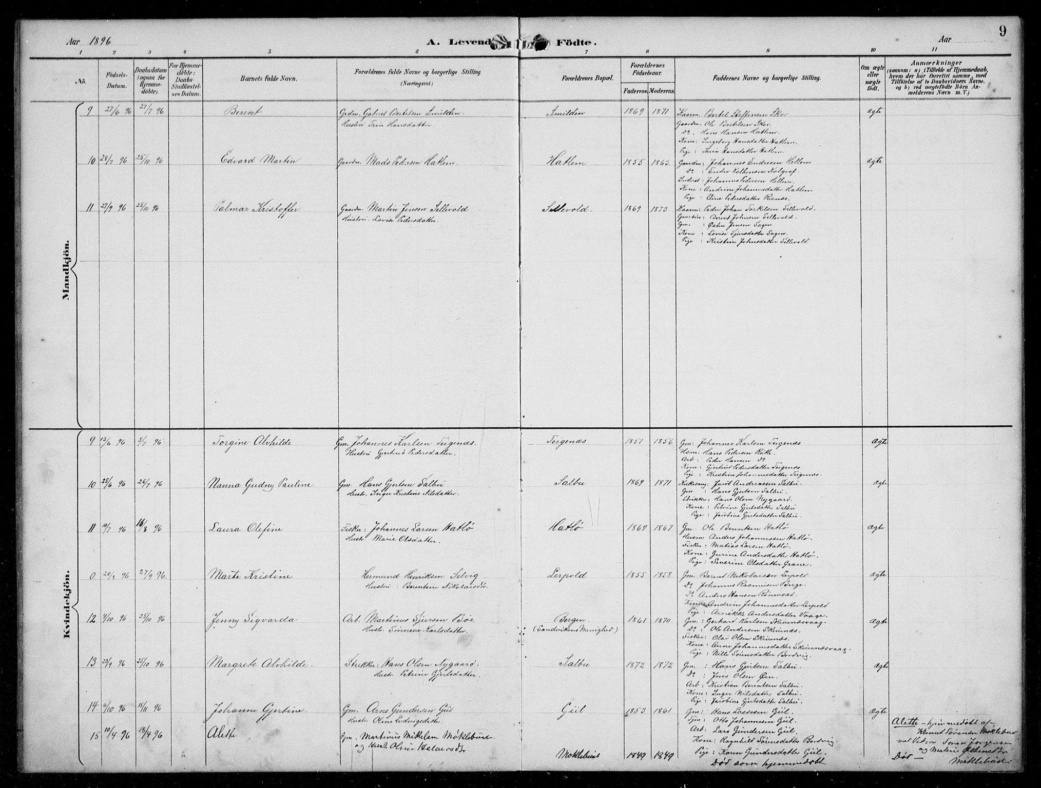 Hyllestad sokneprestembete, AV/SAB-A-80401: Parish register (copy) no. C 3, 1894-1913, p. 9