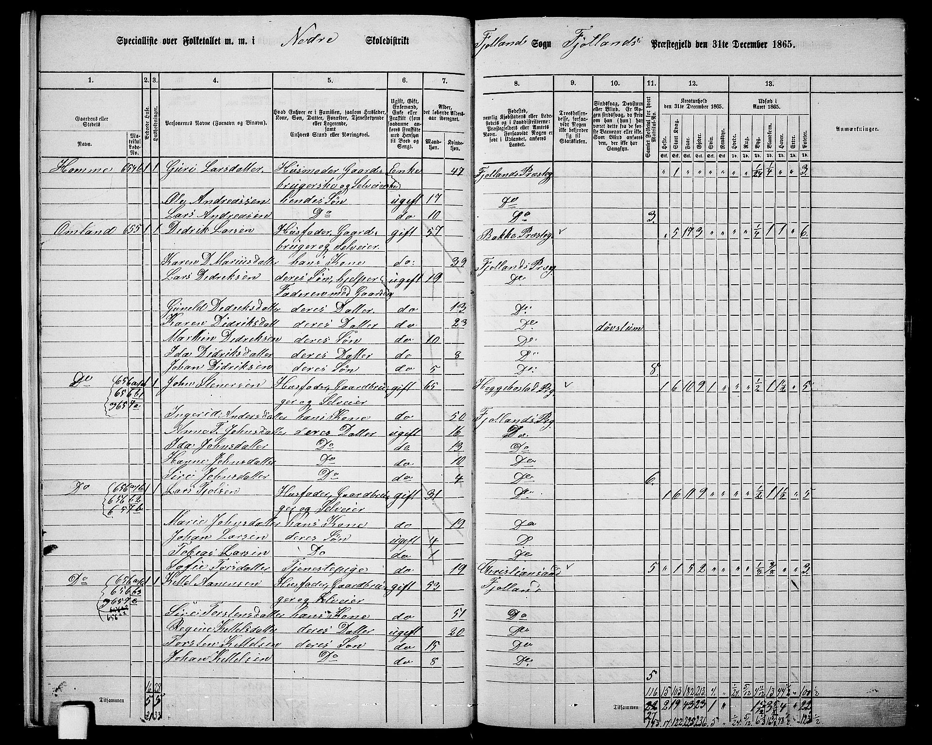 RA, 1865 census for Fjotland, 1865, p. 15