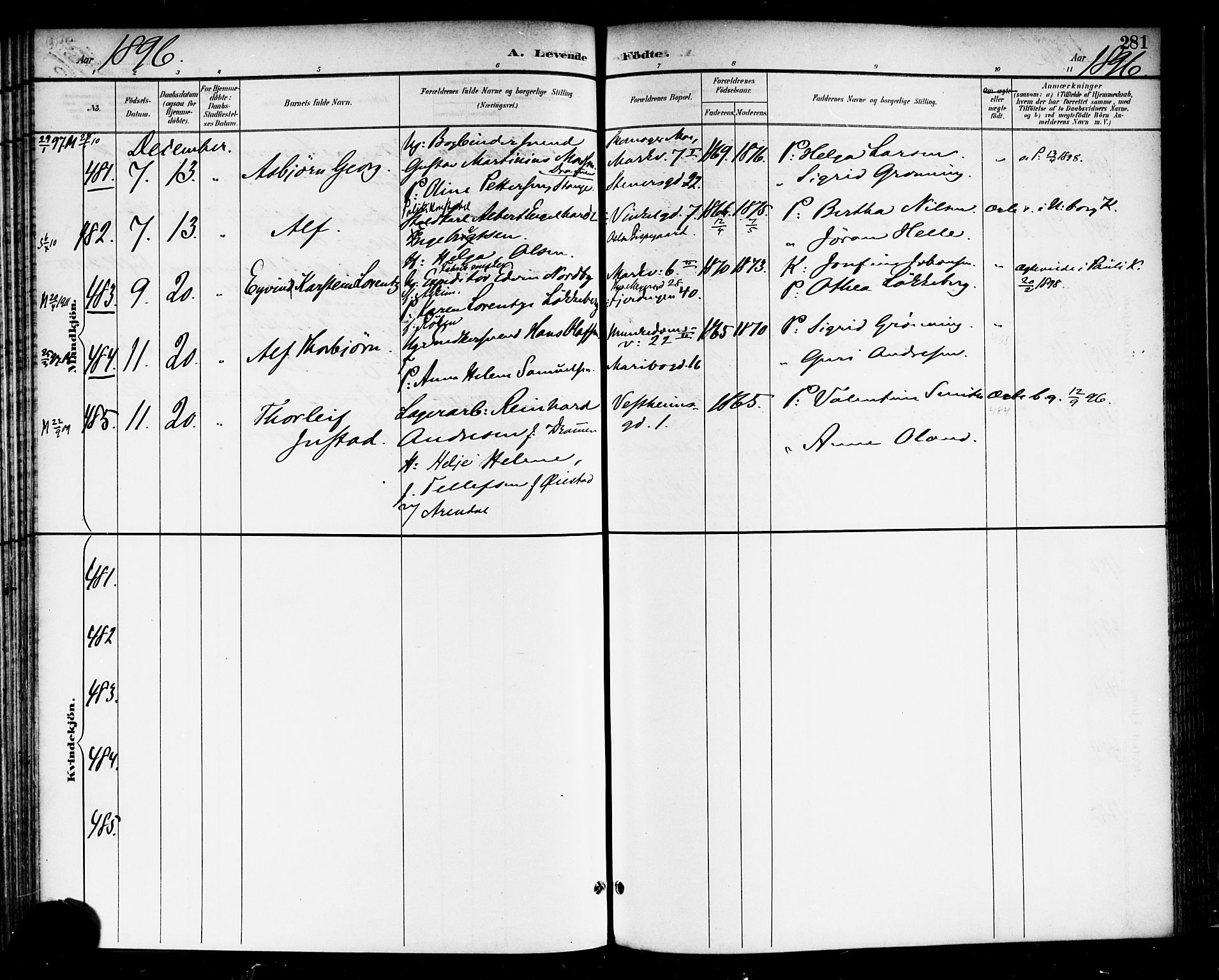 Rikshospitalet prestekontor Kirkebøker, AV/SAO-A-10309b/F/L0009: Parish register (official) no. 9, 1894-1897, p. 281