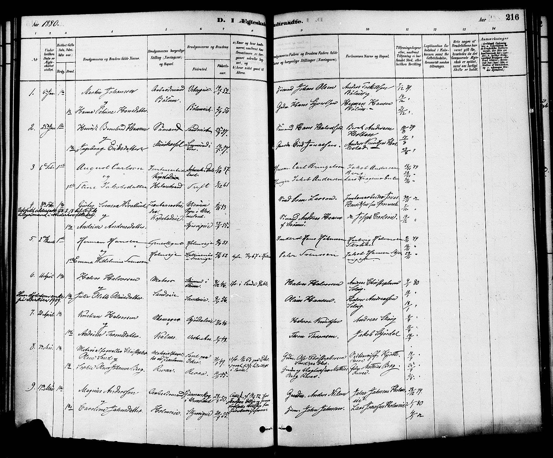 Sande Kirkebøker, SAKO/A-53/F/Fa/L0006: Parish register (official) no. 6, 1878-1888, p. 216