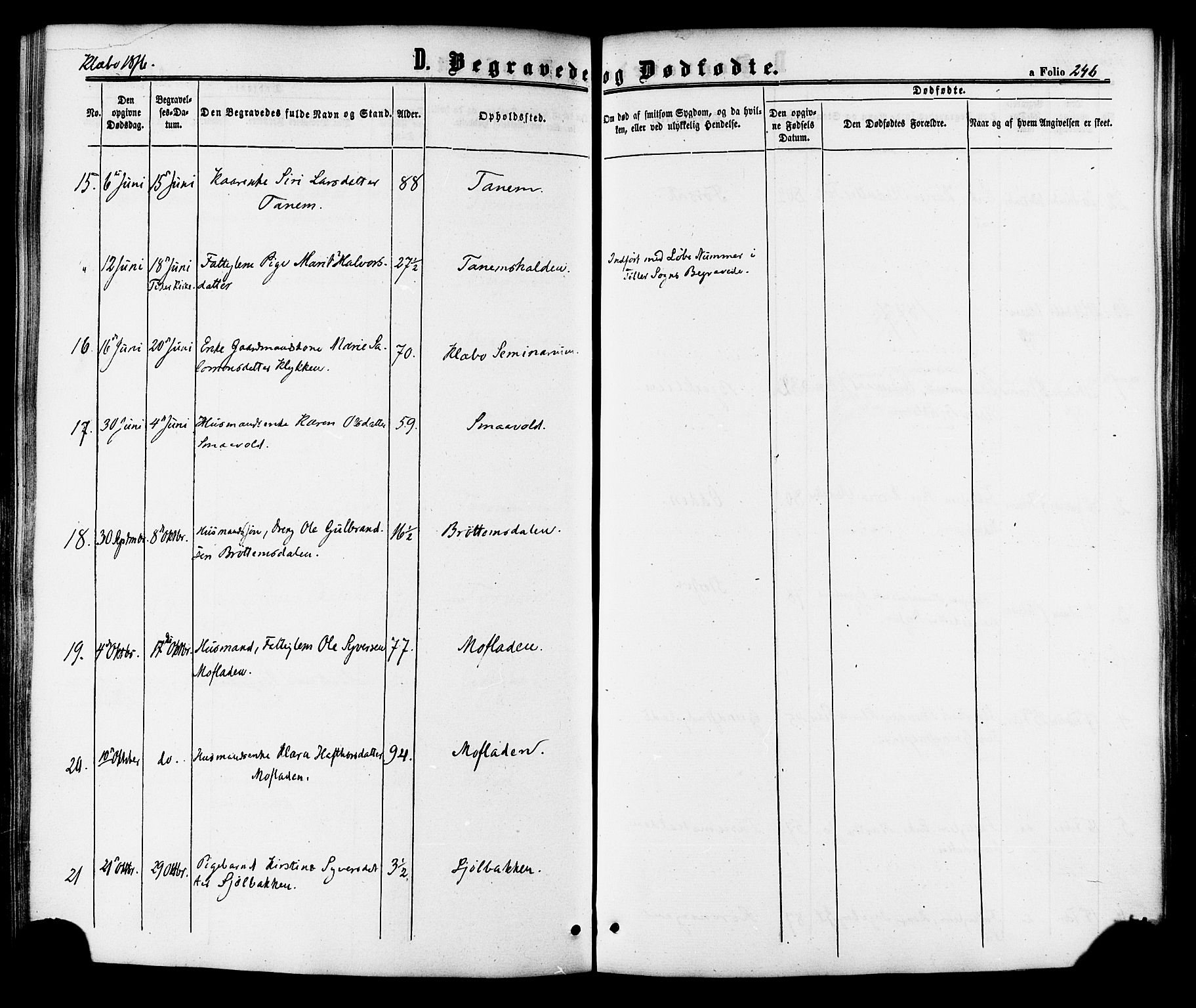 Ministerialprotokoller, klokkerbøker og fødselsregistre - Sør-Trøndelag, SAT/A-1456/618/L0442: Parish register (official) no. 618A06 /1, 1863-1879, p. 246