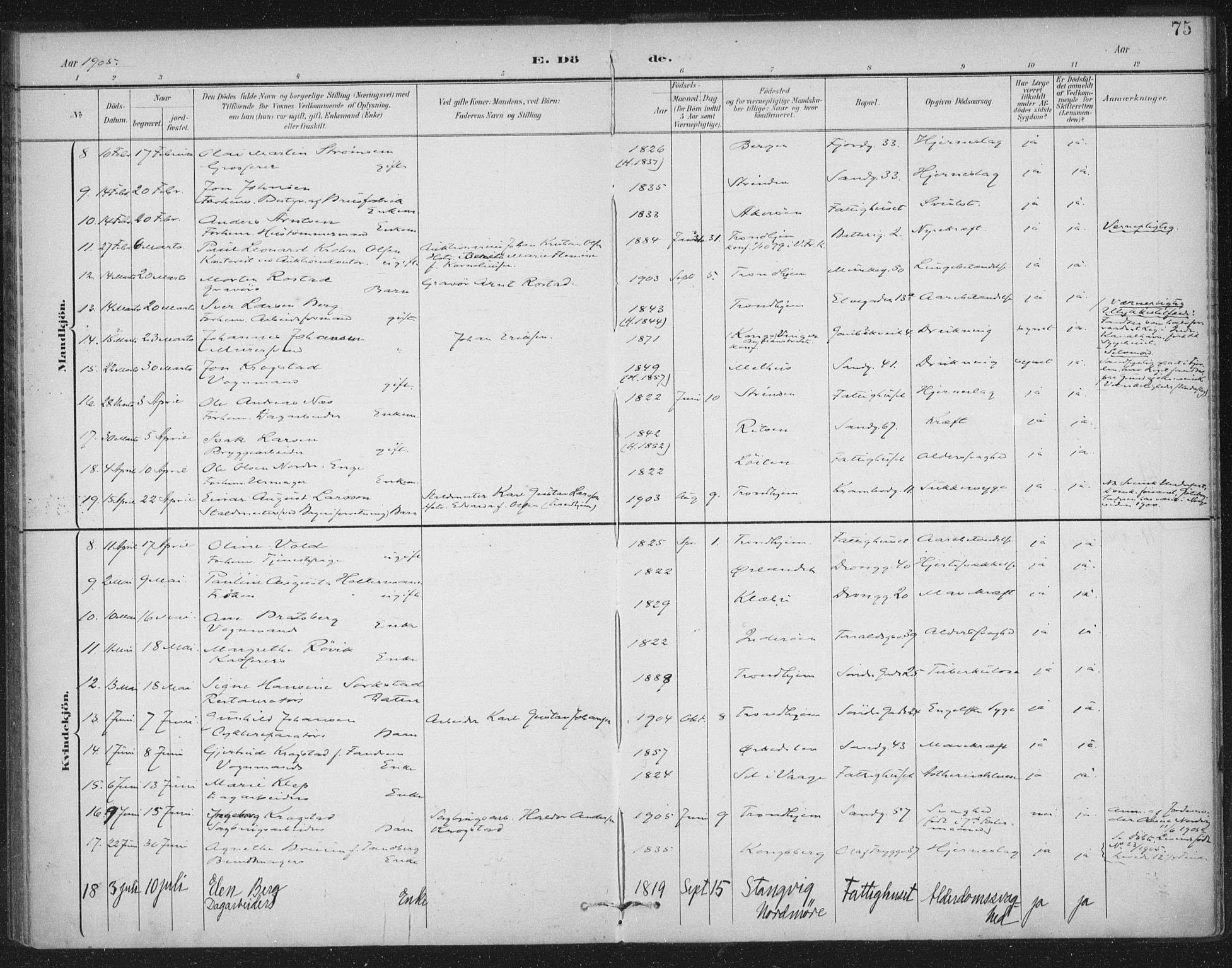 Ministerialprotokoller, klokkerbøker og fødselsregistre - Sør-Trøndelag, SAT/A-1456/602/L0123: Parish register (official) no. 602A21, 1895-1910, p. 75