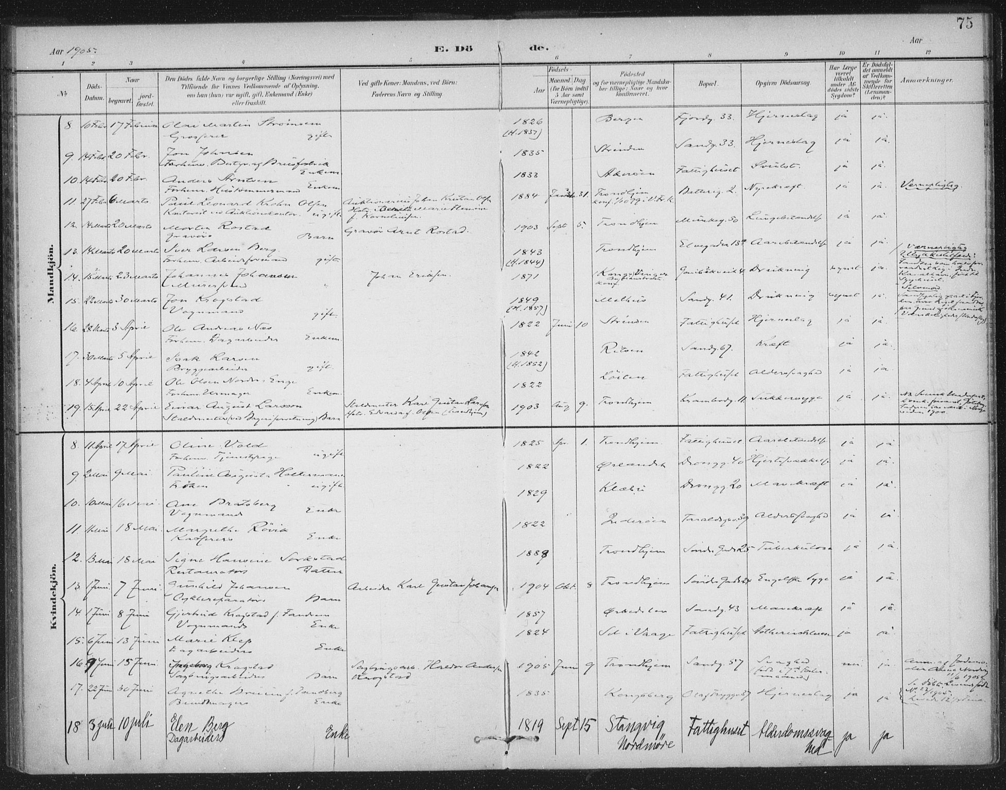 Ministerialprotokoller, klokkerbøker og fødselsregistre - Sør-Trøndelag, AV/SAT-A-1456/602/L0123: Parish register (official) no. 602A21, 1895-1910, p. 75