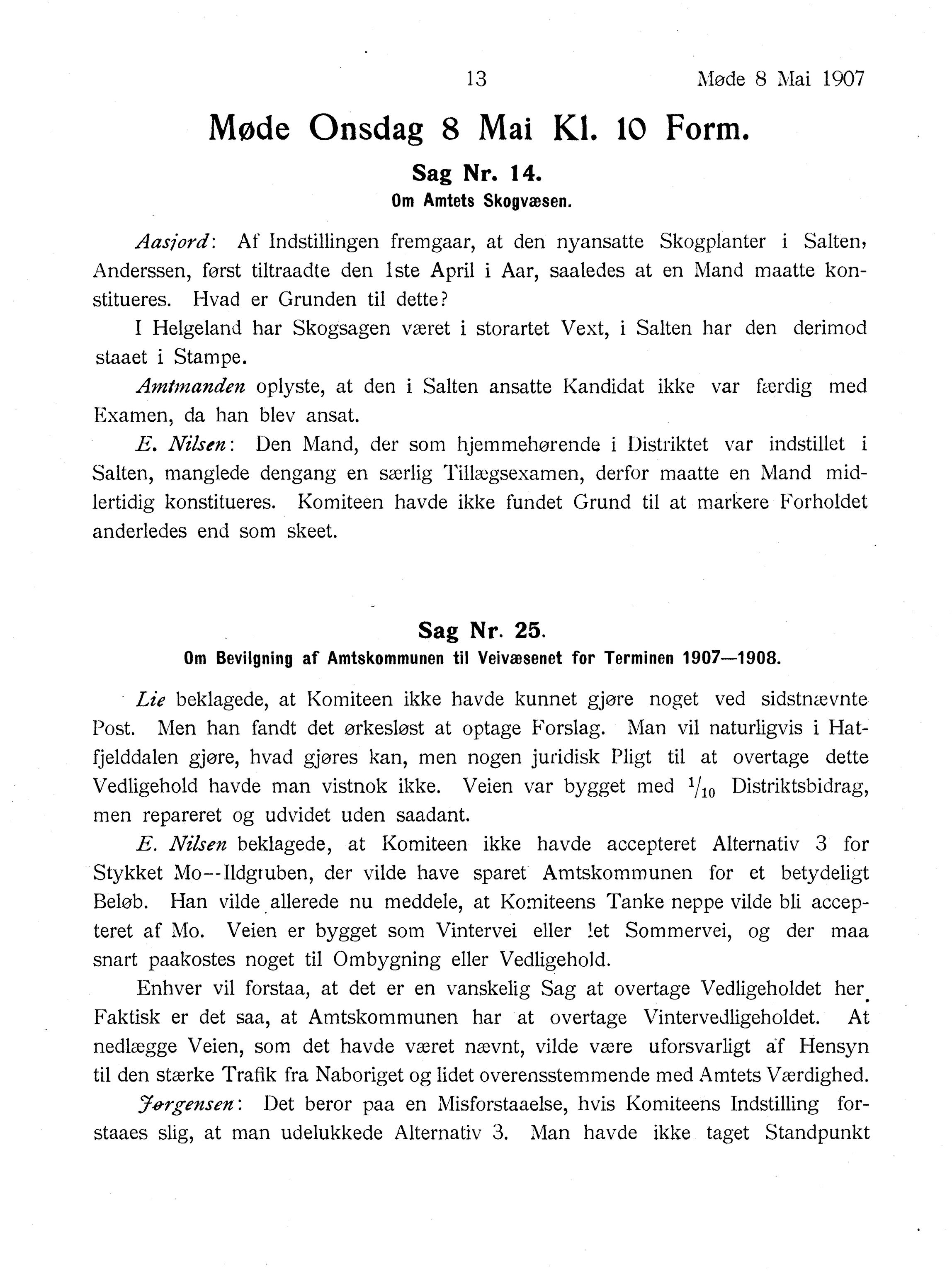 Nordland Fylkeskommune. Fylkestinget, AIN/NFK-17/176/A/Ac/L0030: Fylkestingsforhandlinger 1907, 1907, p. 13