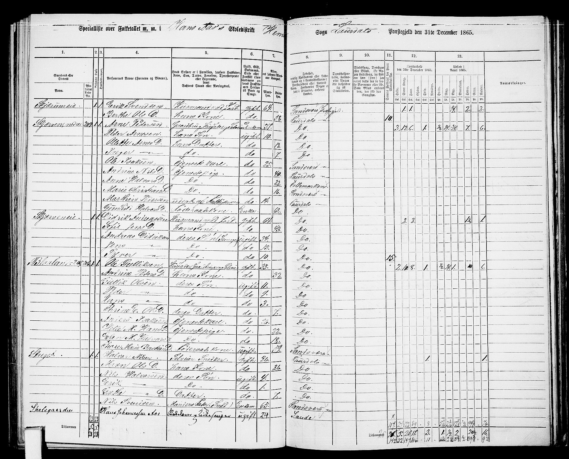 RA, 1865 census for Lardal, 1865, p. 78
