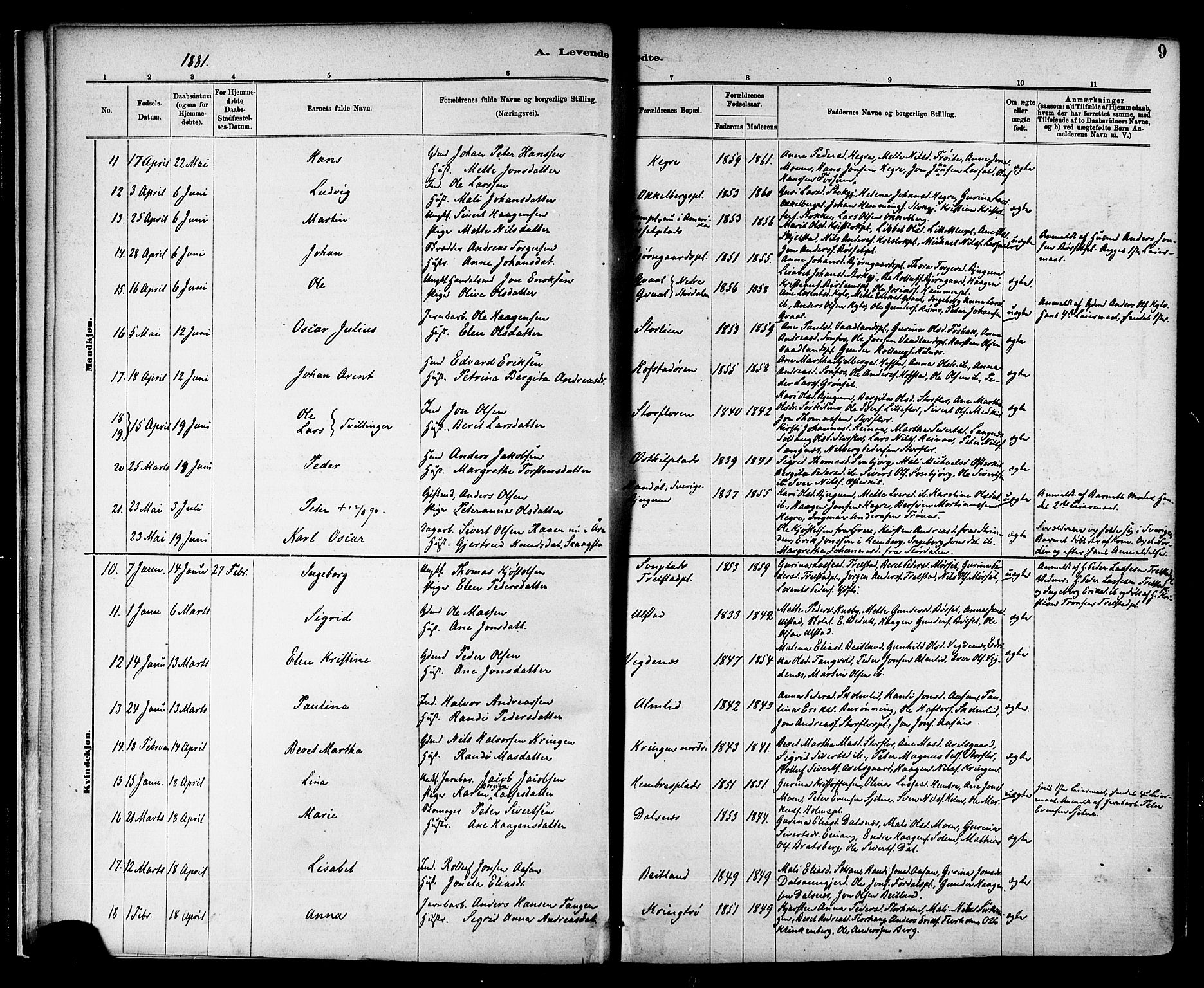 Ministerialprotokoller, klokkerbøker og fødselsregistre - Nord-Trøndelag, SAT/A-1458/703/L0030: Parish register (official) no. 703A03, 1880-1892, p. 9