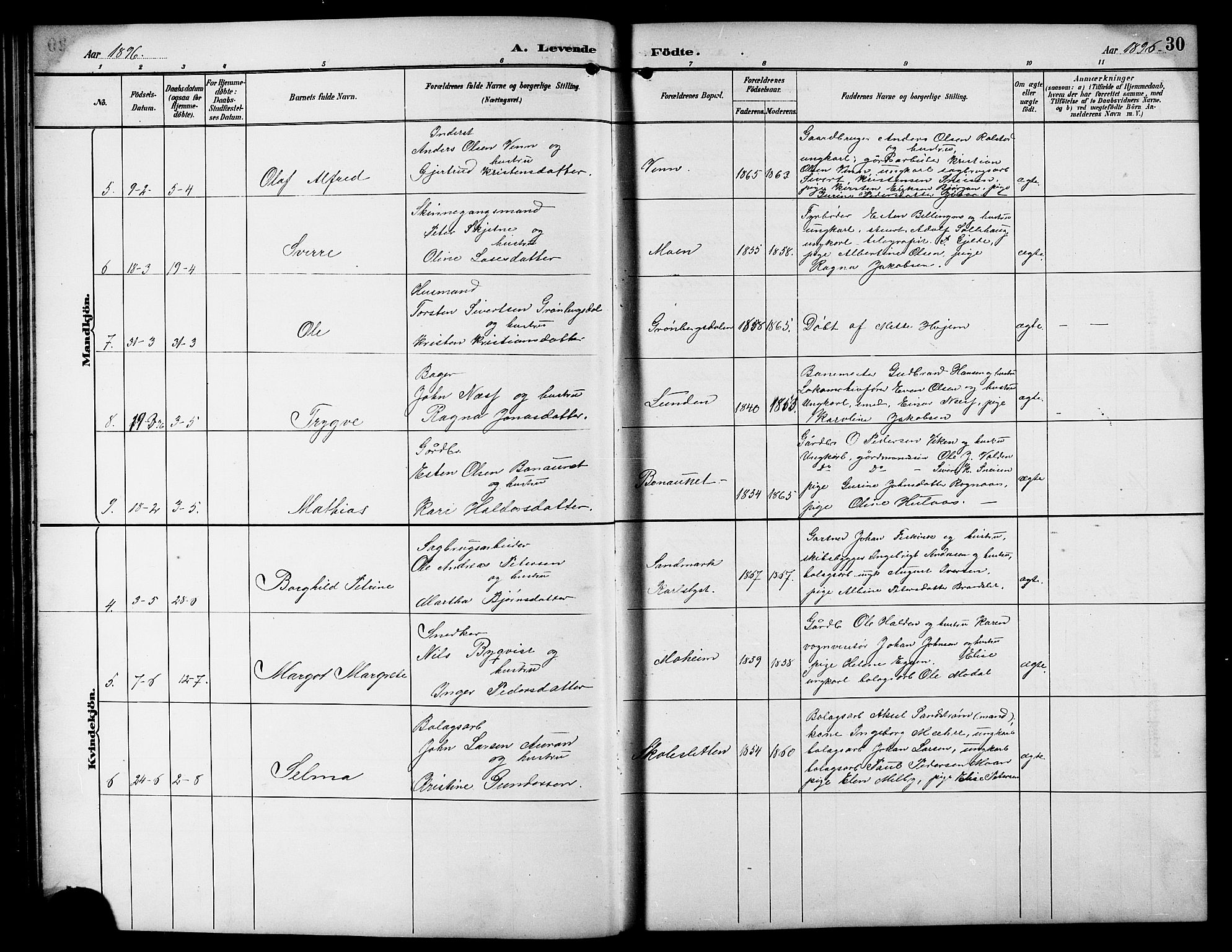 Ministerialprotokoller, klokkerbøker og fødselsregistre - Sør-Trøndelag, SAT/A-1456/617/L0431: Parish register (copy) no. 617C01, 1889-1910, p. 30