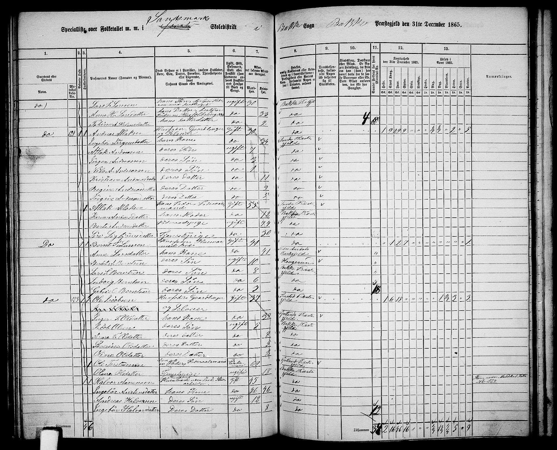 RA, 1865 census for Bakke, 1865, p. 88