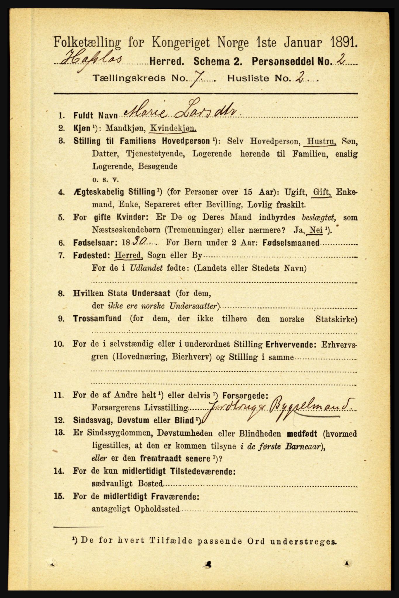 RA, 1891 census for 1425 Hafslo, 1891, p. 2749