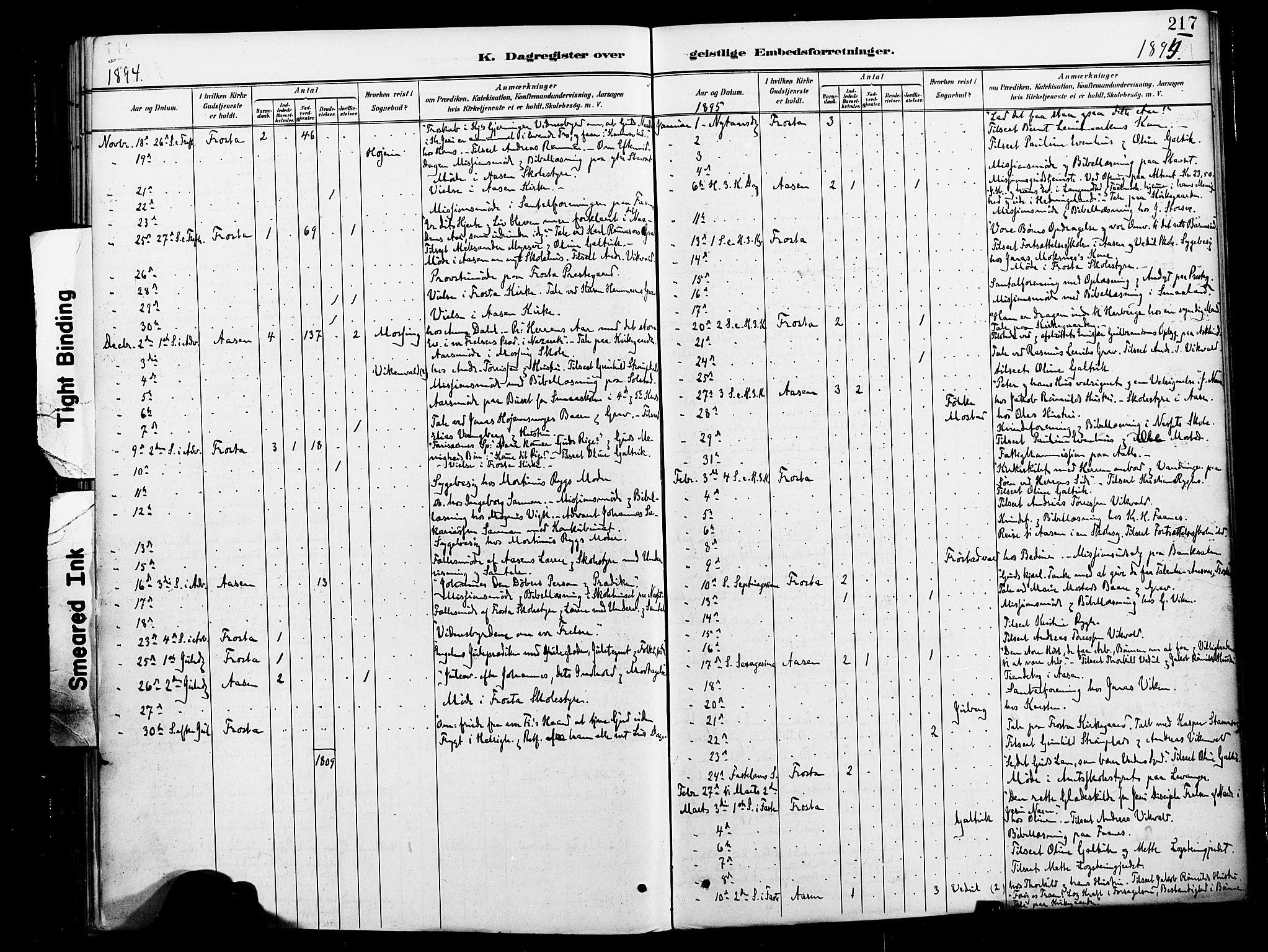 Ministerialprotokoller, klokkerbøker og fødselsregistre - Nord-Trøndelag, SAT/A-1458/713/L0121: Parish register (official) no. 713A10, 1888-1898, p. 217