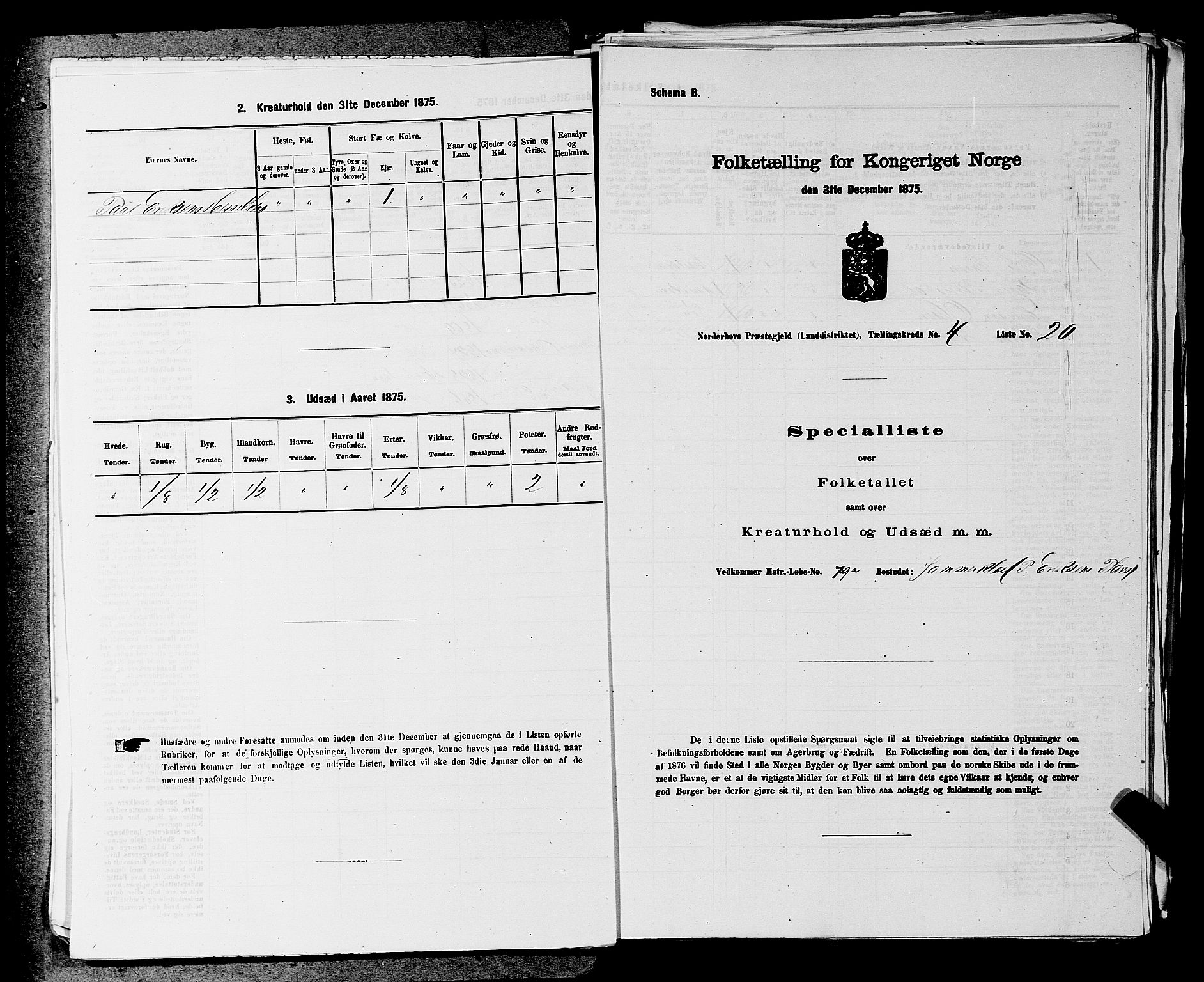 SAKO, 1875 census for 0613L Norderhov/Norderhov, Haug og Lunder, 1875, p. 638