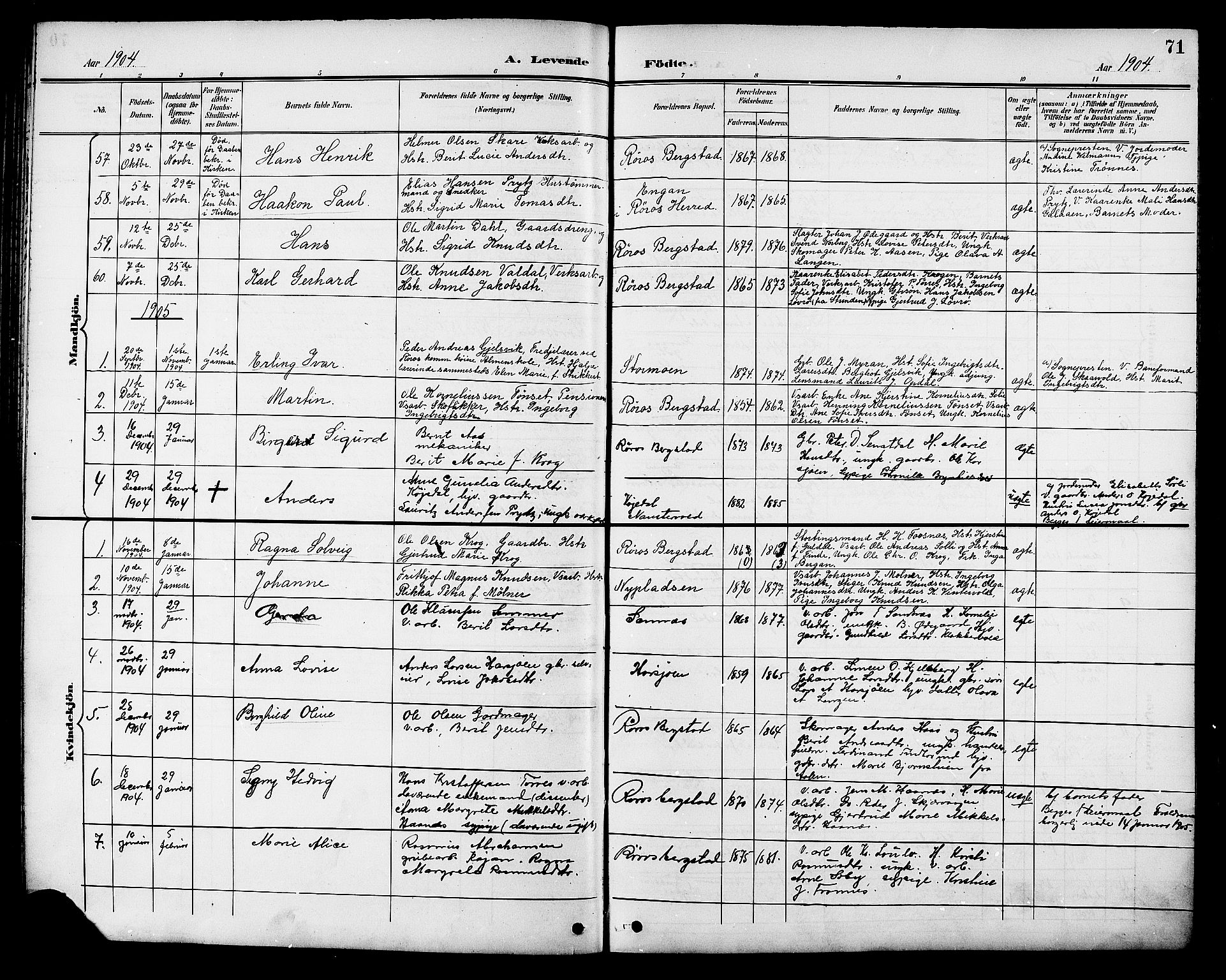 Ministerialprotokoller, klokkerbøker og fødselsregistre - Sør-Trøndelag, SAT/A-1456/681/L0941: Parish register (copy) no. 681C05, 1896-1905, p. 71