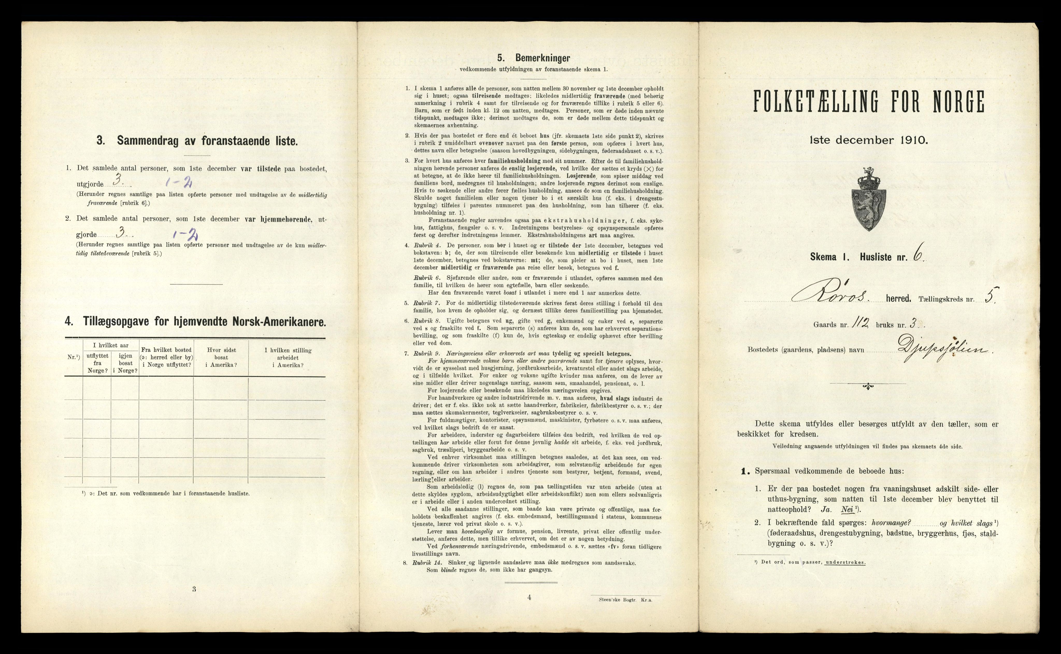 RA, 1910 census for Røros, 1910, p. 603