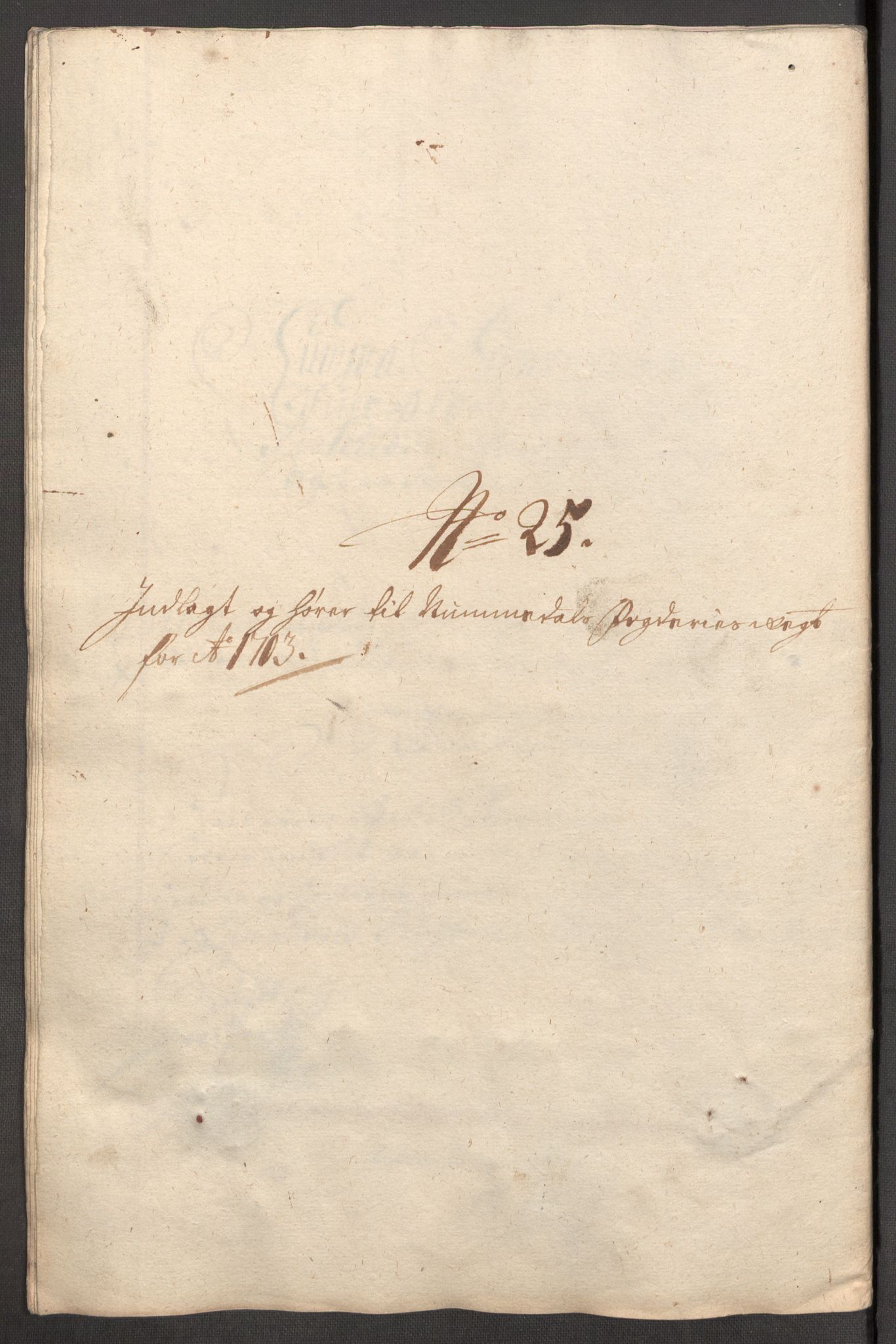 Rentekammeret inntil 1814, Reviderte regnskaper, Fogderegnskap, AV/RA-EA-4092/R64/L4428: Fogderegnskap Namdal, 1703-1704, p. 180