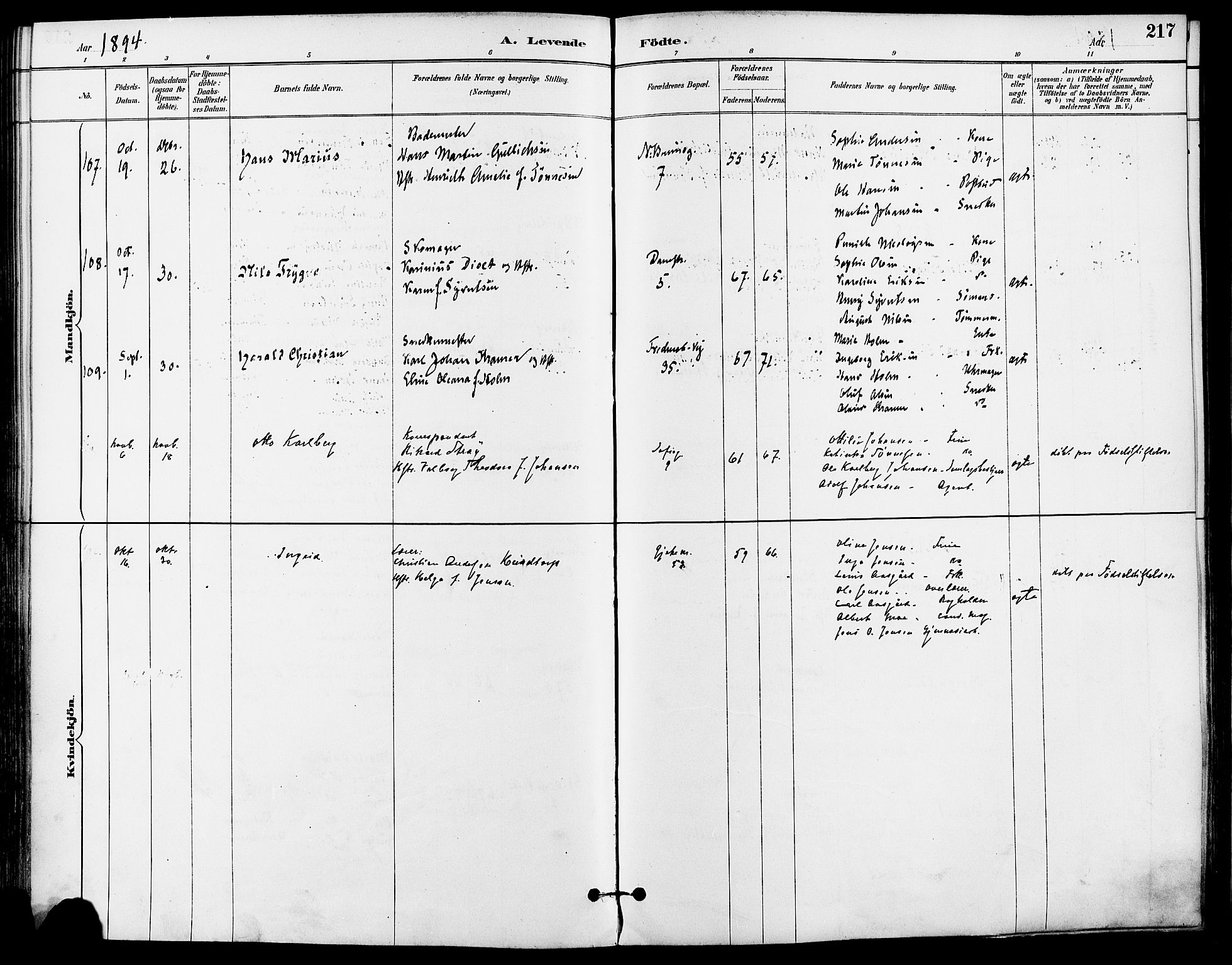 Gamle Aker prestekontor Kirkebøker, AV/SAO-A-10617a/F/L0008: Parish register (official) no. 8, 1887-1896, p. 217