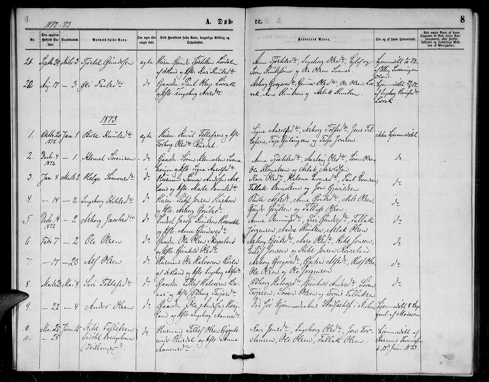 Herefoss sokneprestkontor, AV/SAK-1111-0019/F/Fa/Fac/L0001: Parish register (official) no. A 1, 1871-1886, p. 8