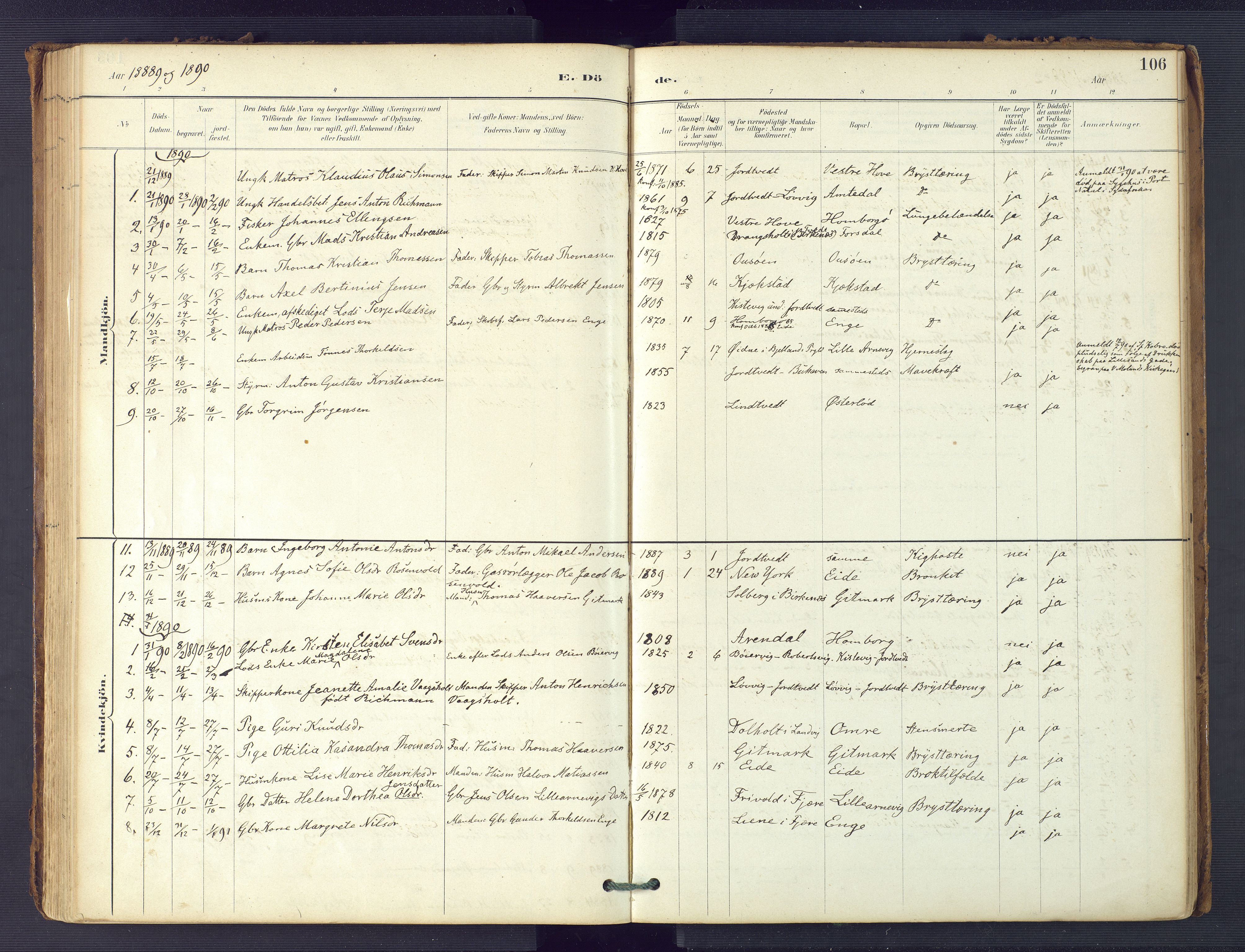 Hommedal sokneprestkontor, SAK/1111-0023/F/Fa/Faa/L0003: Parish register (official) no. A 3, 1885-1916, p. 106