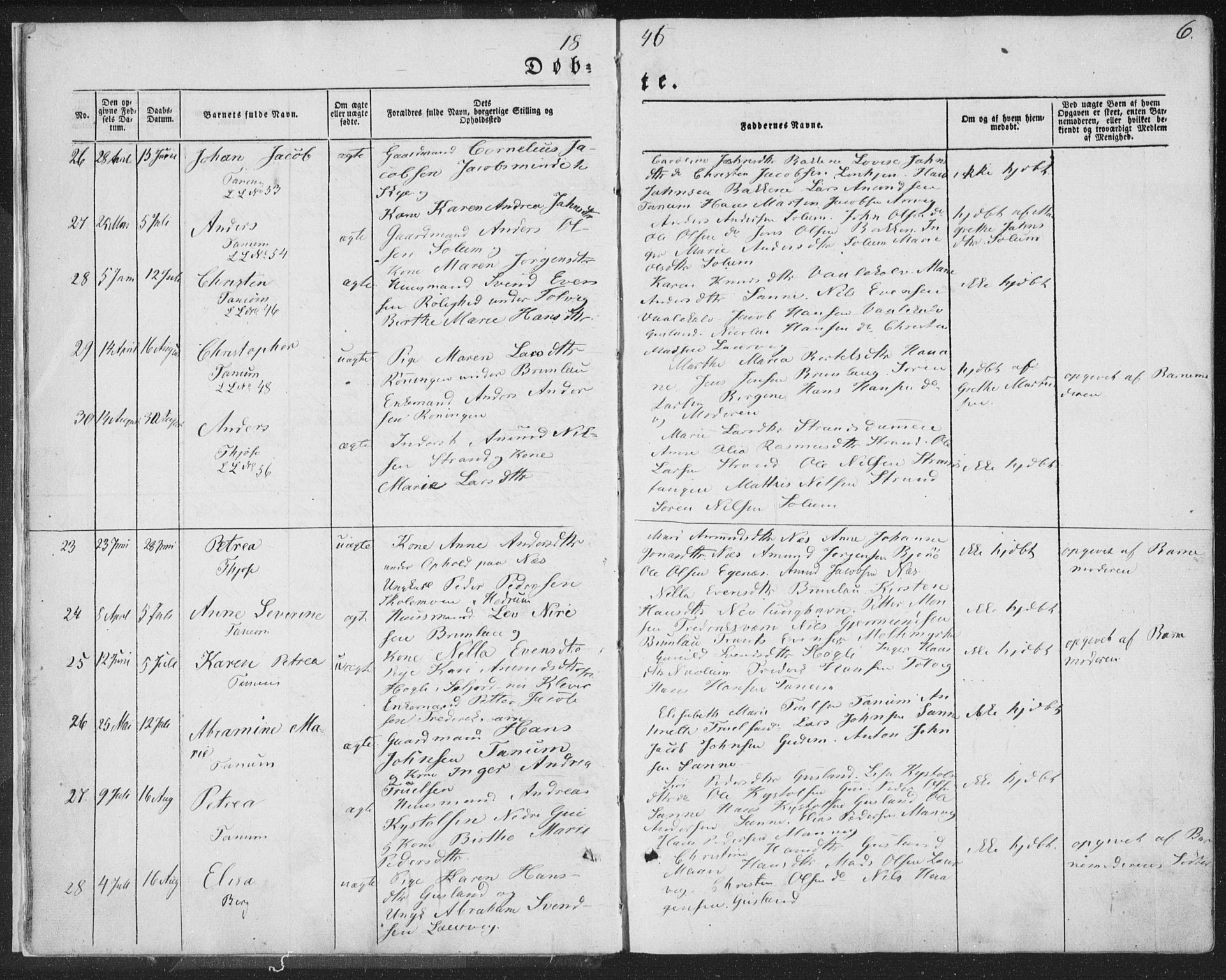 Brunlanes kirkebøker, AV/SAKO-A-342/F/Fa/L0004: Parish register (official) no. I 4, 1846-1862, p. 6