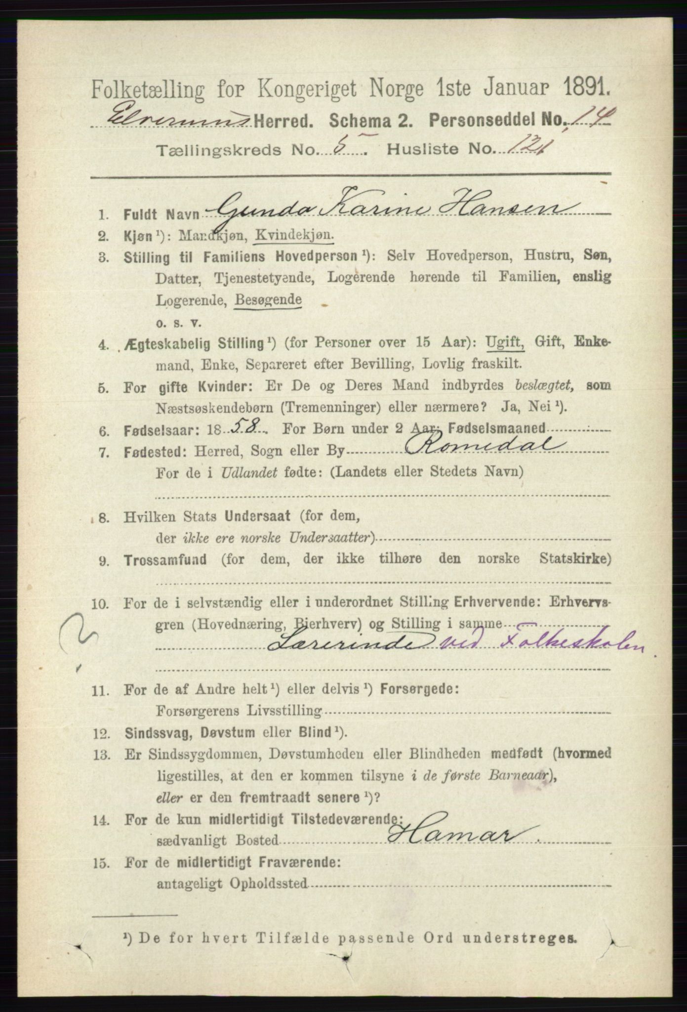RA, 1891 census for 0427 Elverum, 1891, p. 3991