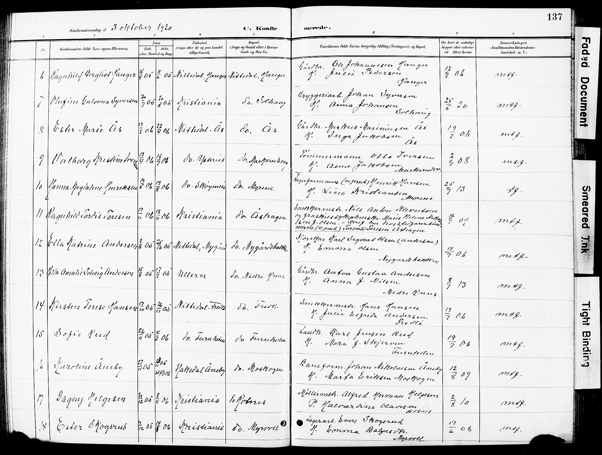 Nittedal prestekontor Kirkebøker, SAO/A-10365a/G/Ga/L0003: Parish register (copy) no. I 3, 1902-1929, p. 137