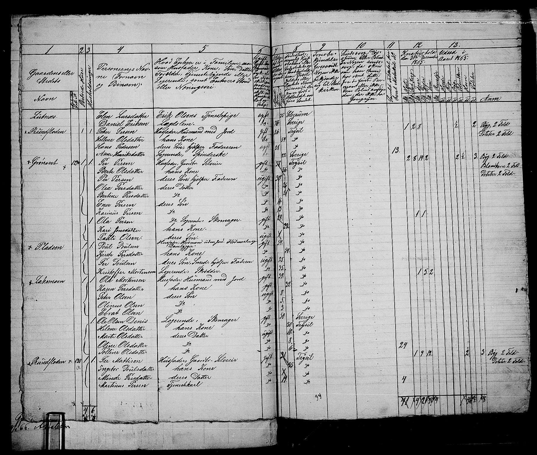 RA, 1865 census for Trysil, 1865, p. 109