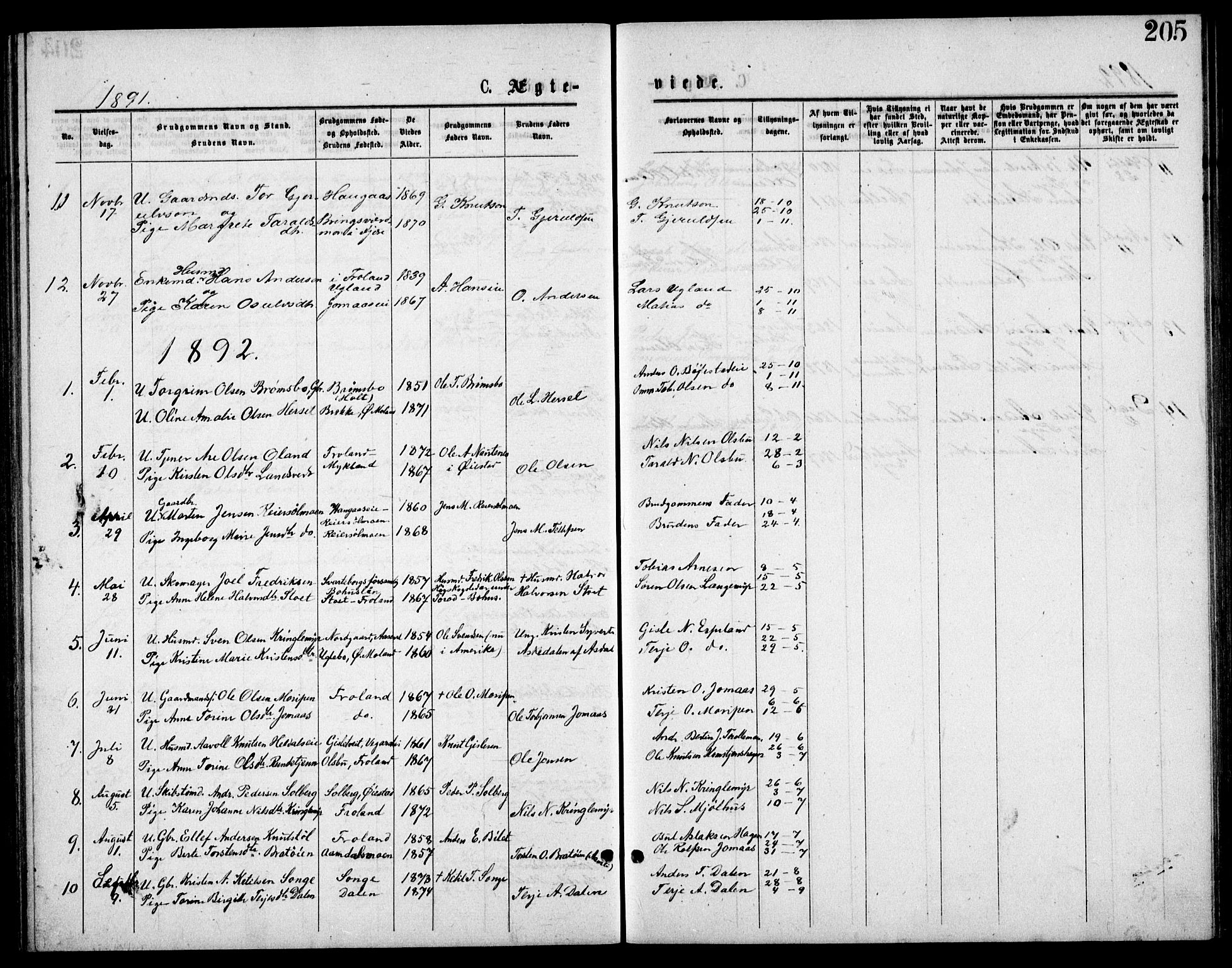 Froland sokneprestkontor, SAK/1111-0013/F/Fb/L0009: Parish register (copy) no. B 9, 1875-1893, p. 205