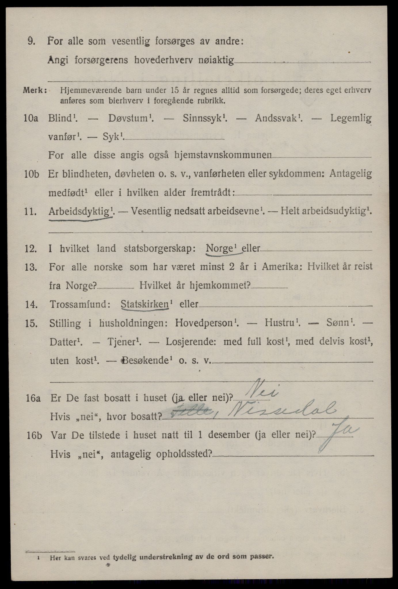 SAKO, 1920 census for Nissedal, 1920, p. 4708