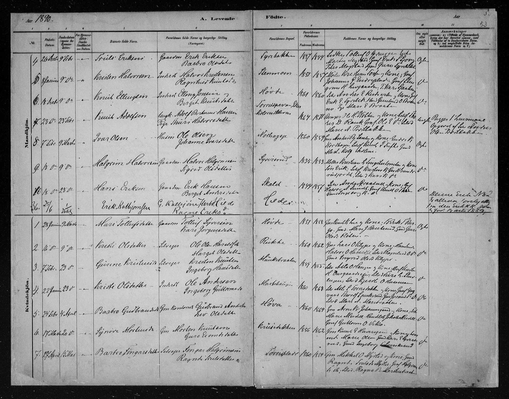 Nes kirkebøker, AV/SAKO-A-236/F/Fa/L0011: Parish register (official) no. 11, 1881-1912, p. 53