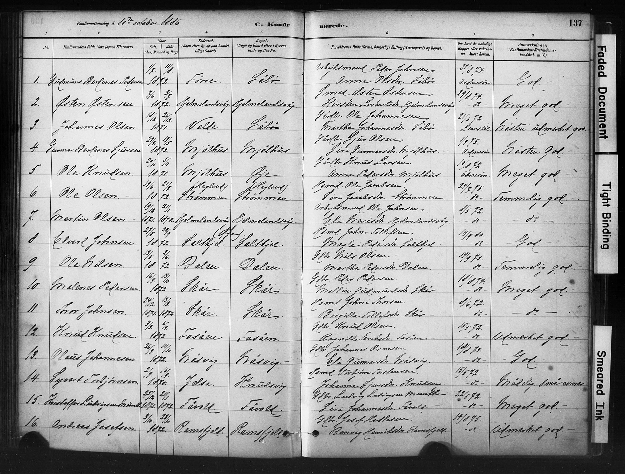 Hjelmeland sokneprestkontor, AV/SAST-A-101843/01/IV/L0014: Parish register (official) no. A 14, 1879-1900, p. 137