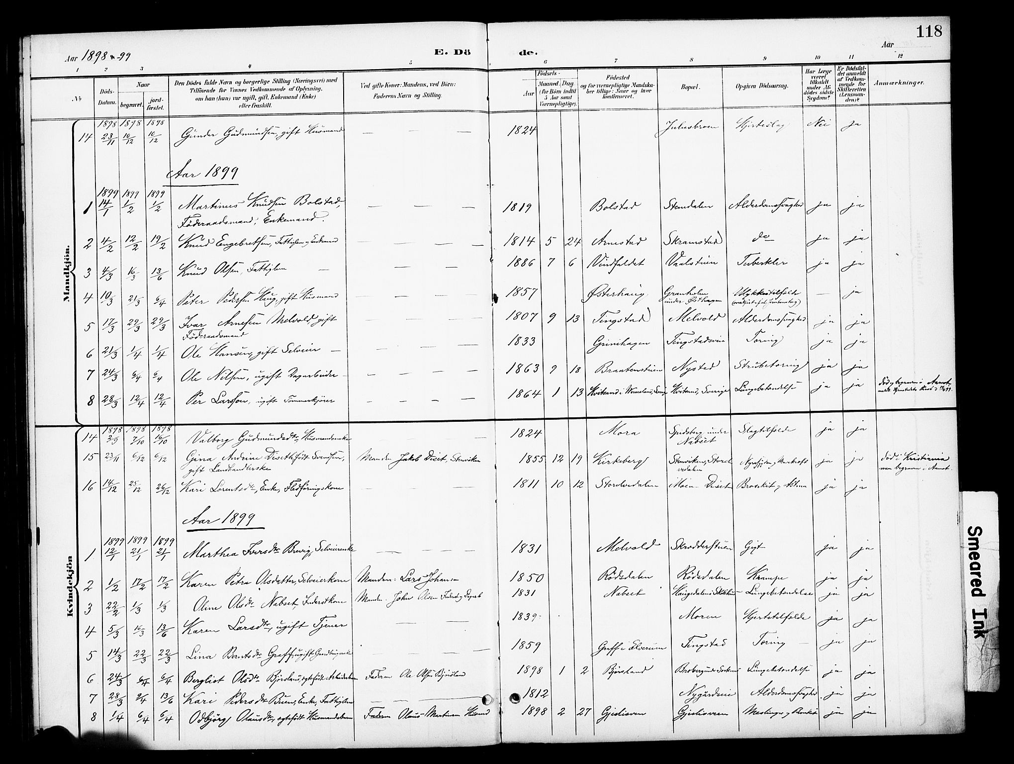 Åmot prestekontor, Hedmark, AV/SAH-PREST-056/H/Ha/Haa/L0013: Parish register (official) no. 13, 1898-1906, p. 118