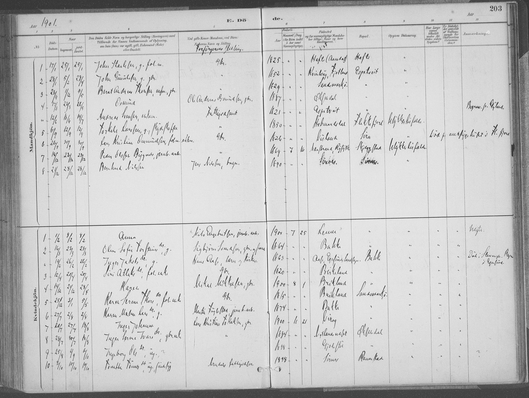 Bakke sokneprestkontor, SAK/1111-0002/F/Fa/Faa/L0008: Parish register (official) no. A 8, 1887-1911, p. 203
