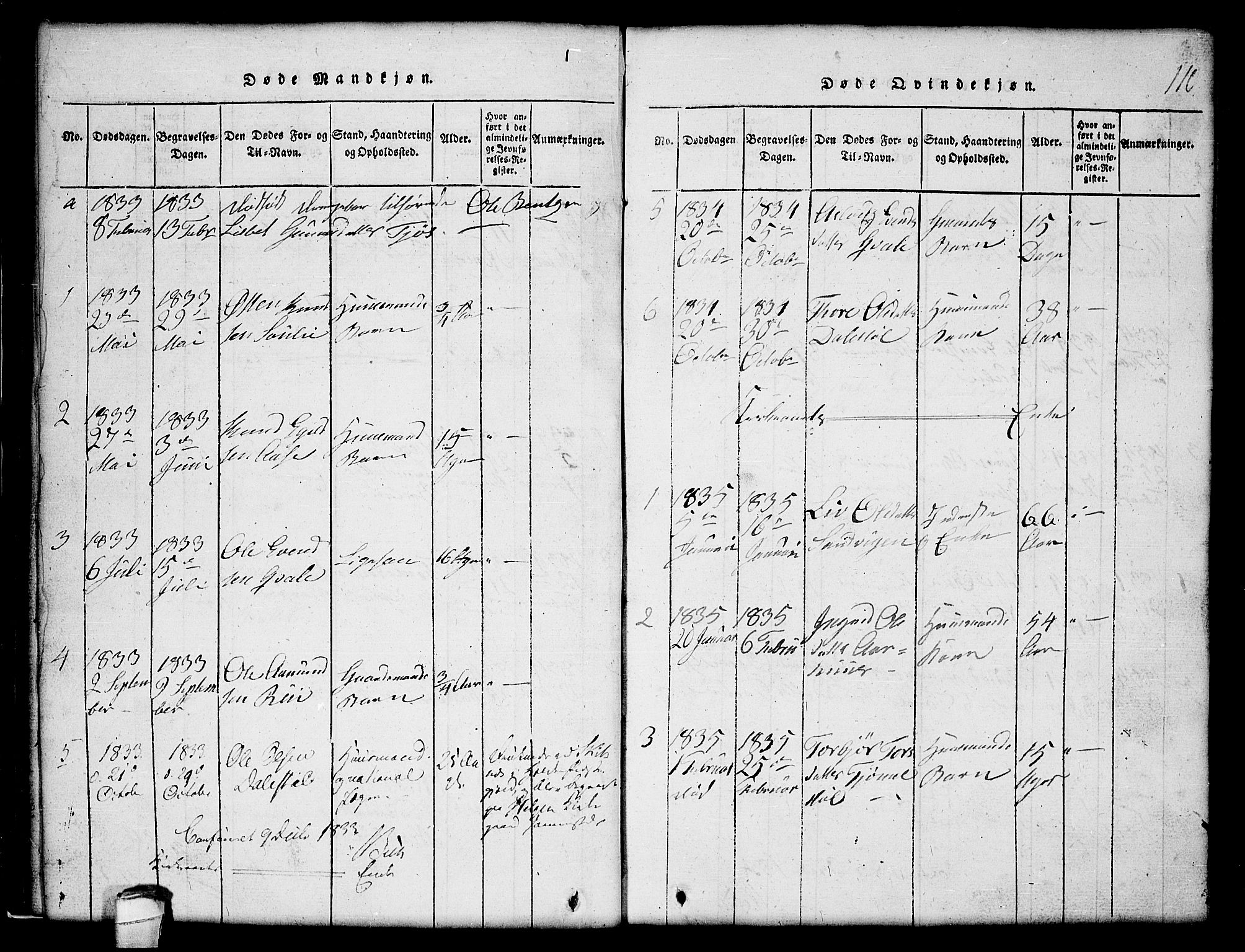 Lårdal kirkebøker, SAKO/A-284/G/Gc/L0001: Parish register (copy) no. III 1, 1815-1854, p. 110