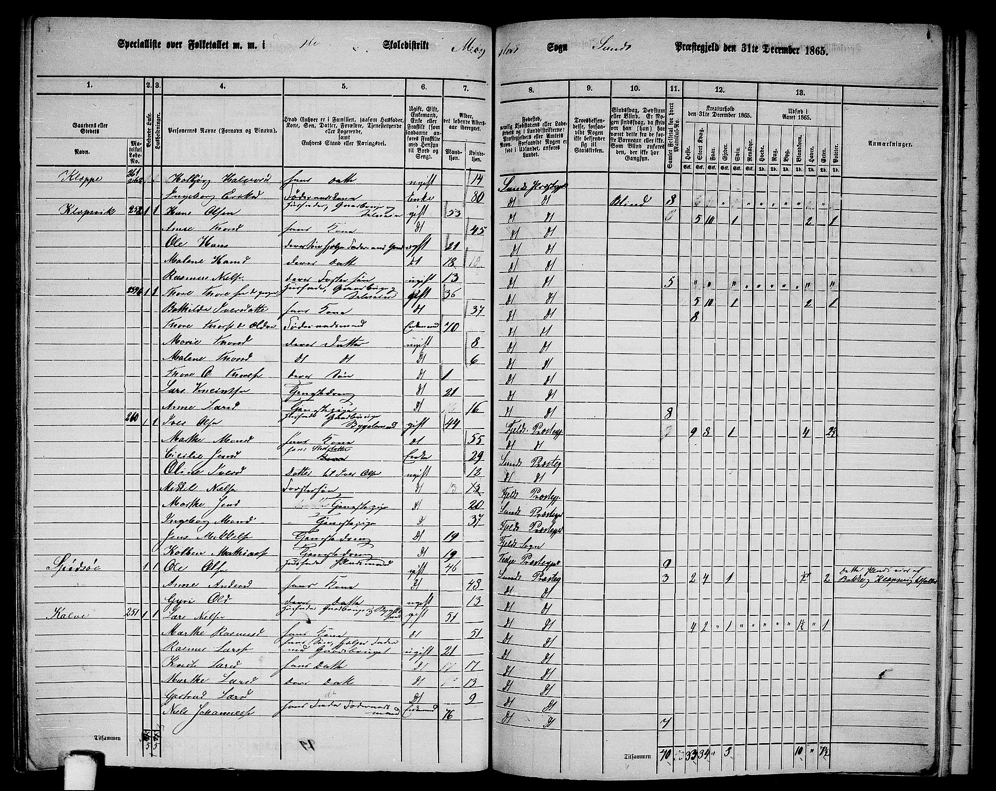 RA, 1865 census for Sund, 1865, p. 173