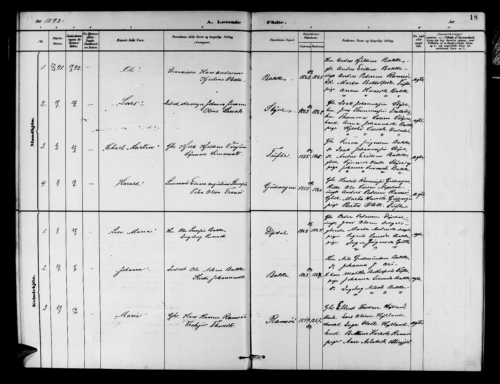 Aurland sokneprestembete, SAB/A-99937/H/Hb/Hbc/L0002: Parish register (copy) no. C 2, 1883-1900, p. 18