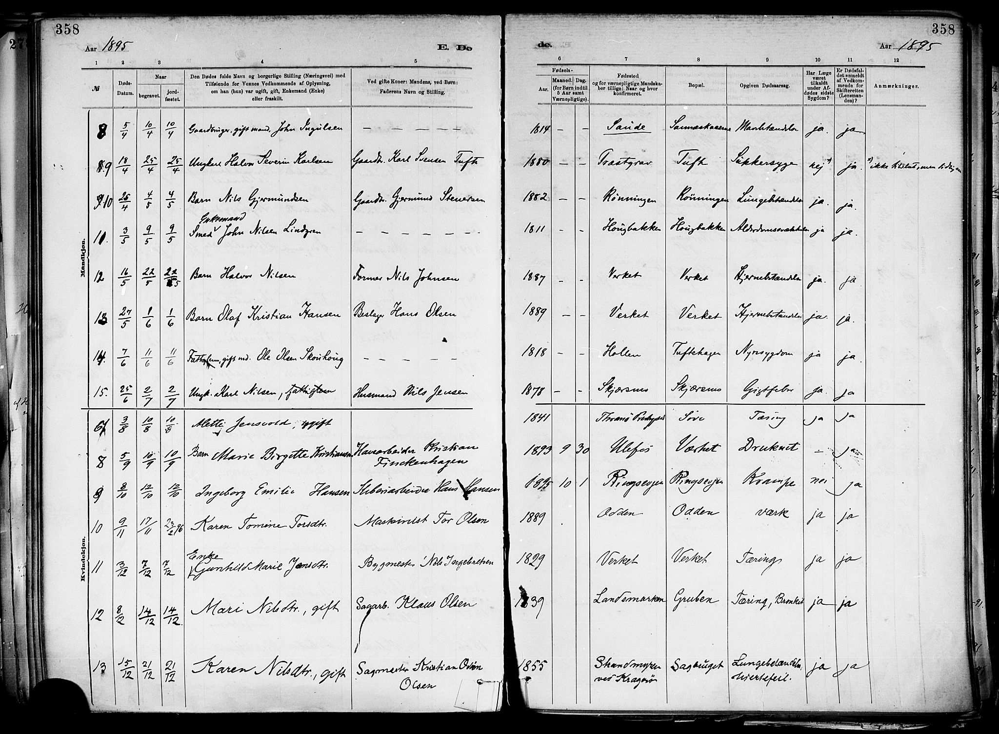 Holla kirkebøker, AV/SAKO-A-272/F/Fa/L0008: Parish register (official) no. 8, 1882-1897, p. 358