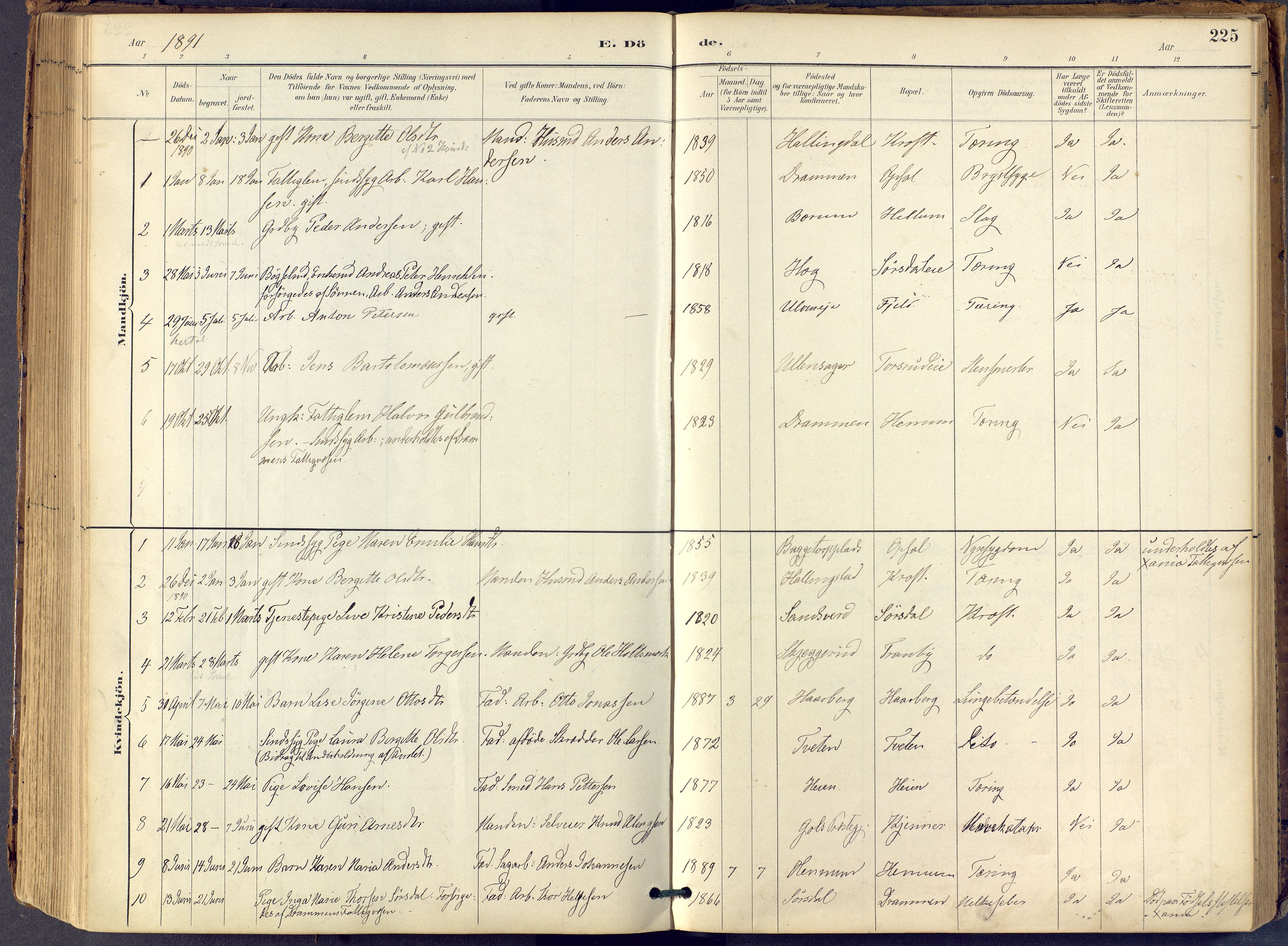 Lier kirkebøker, AV/SAKO-A-230/F/Fb/L0001: Parish register (official) no. II 1, 1883-1910, p. 225