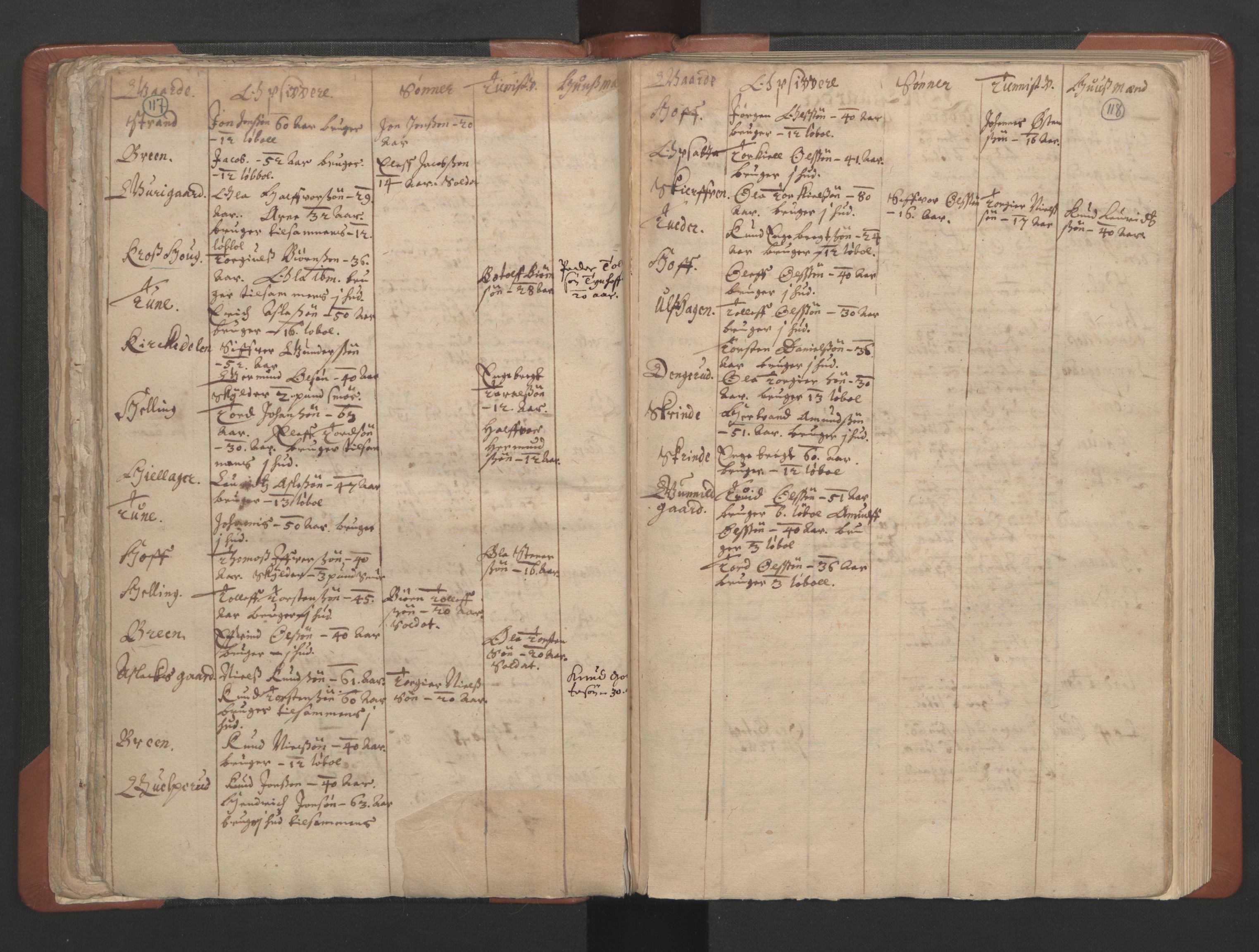 RA, Vicar's Census 1664-1666, no. 8: Valdres deanery, 1664-1666, p. 117-118