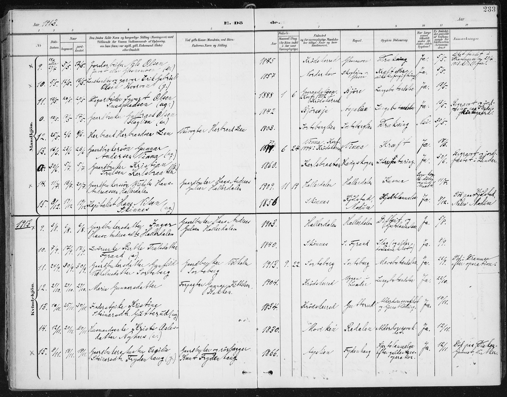 Krødsherad kirkebøker, AV/SAKO-A-19/F/Fa/L0007: Parish register (official) no. 7, 1900-1915, p. 233