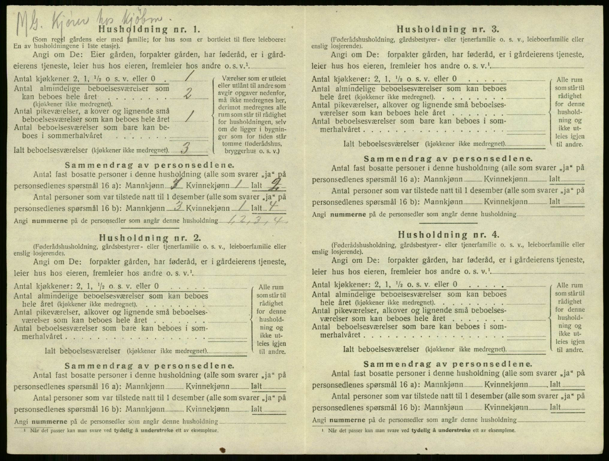 SAKO, 1920 census for Botne, 1920, p. 377