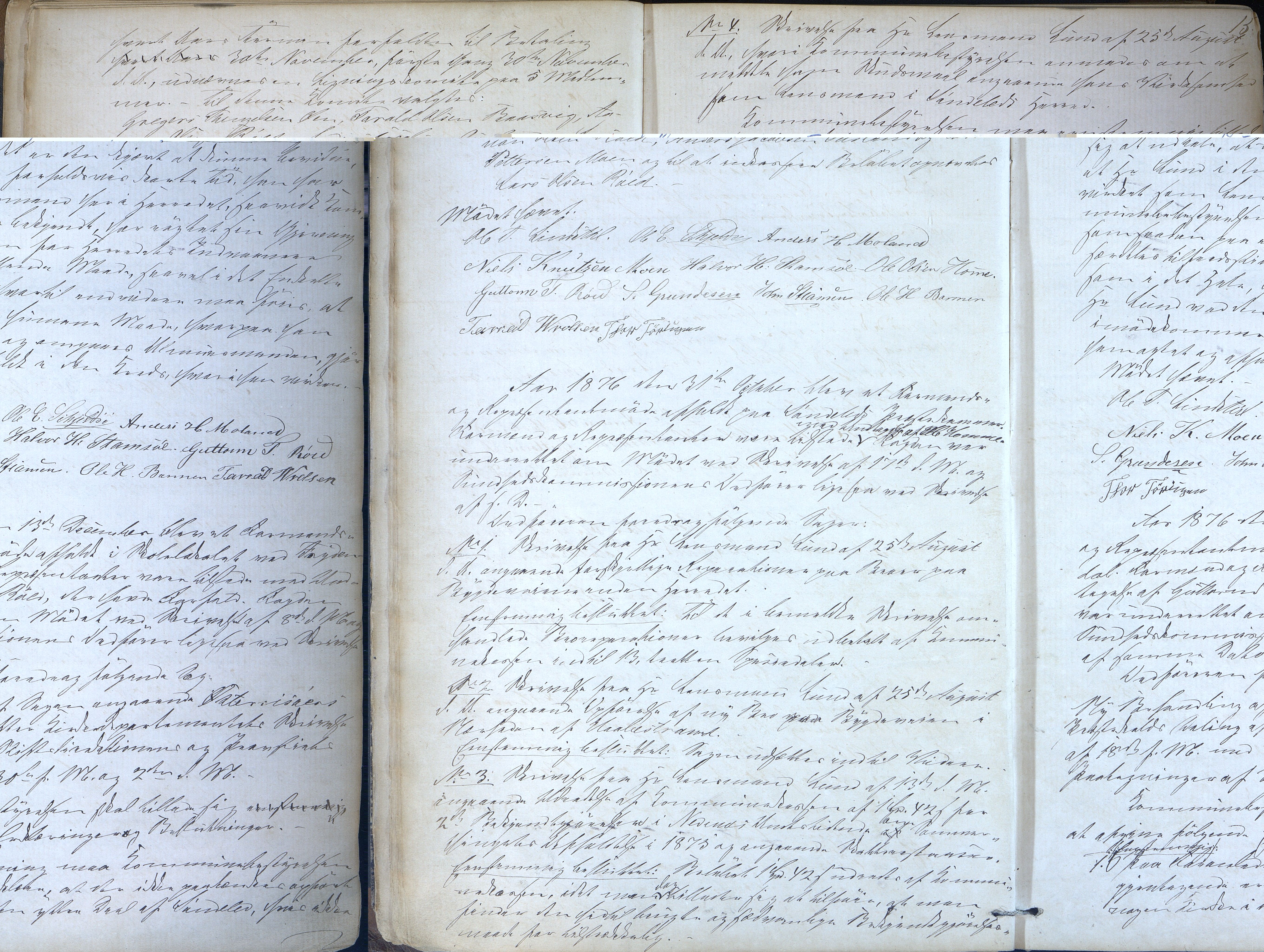 Søndeled kommune, AAKS/KA0913-PK/1/01/L0002: Forhandlingsprotokoll, 1874-1896, p. 15