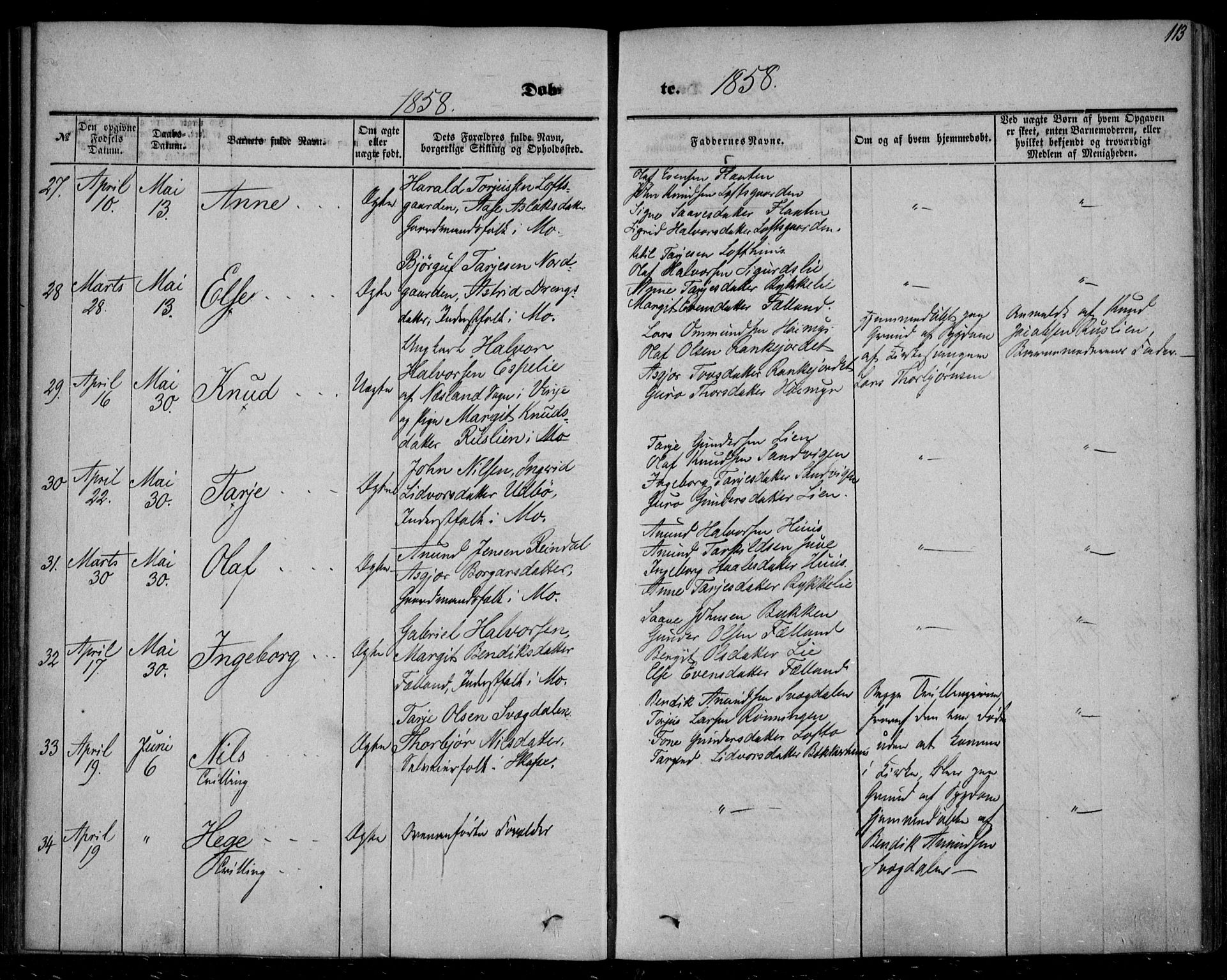 Mo kirkebøker, AV/SAKO-A-286/F/Fa/L0005: Parish register (official) no. I 5, 1844-1864, p. 113