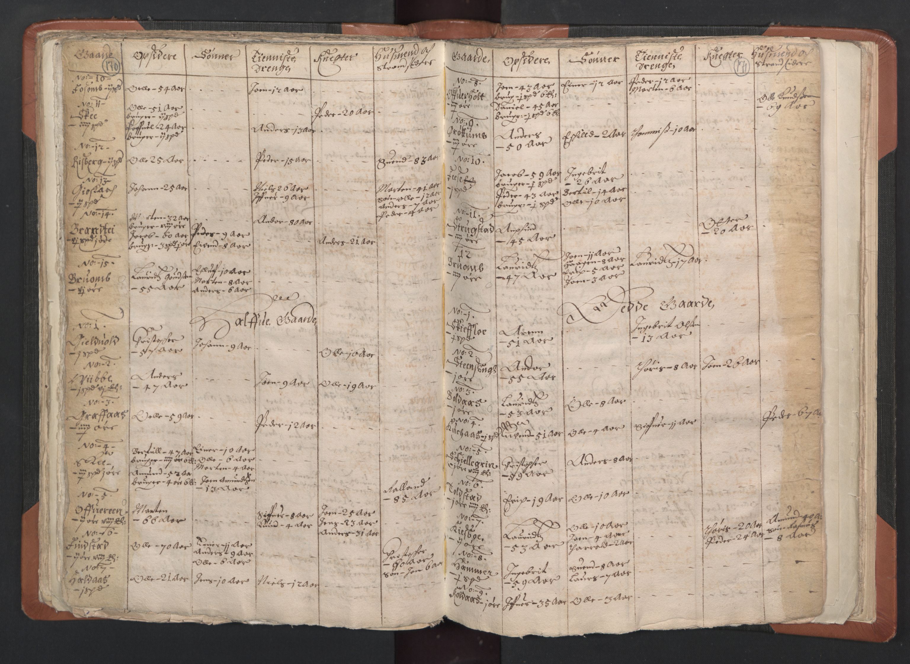 RA, Vicar's Census 1664-1666, no. 33: Innherad deanery, 1664-1666, p. 170-171