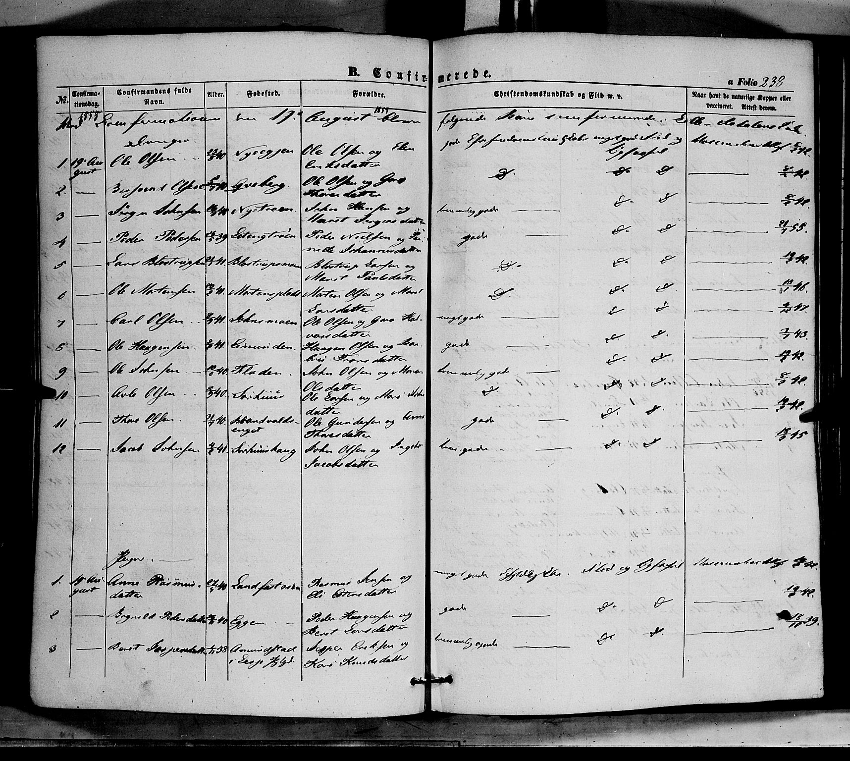 Tynset prestekontor, SAH/PREST-058/H/Ha/Haa/L0020: Parish register (official) no. 20, 1848-1862, p. 238