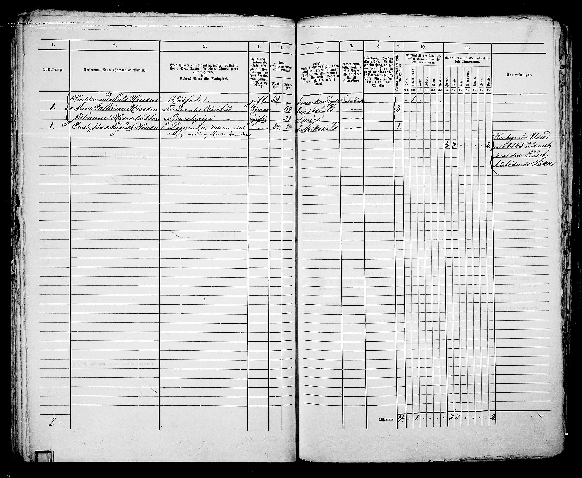 RA, 1865 census for Fredrikshald, 1865, p. 506