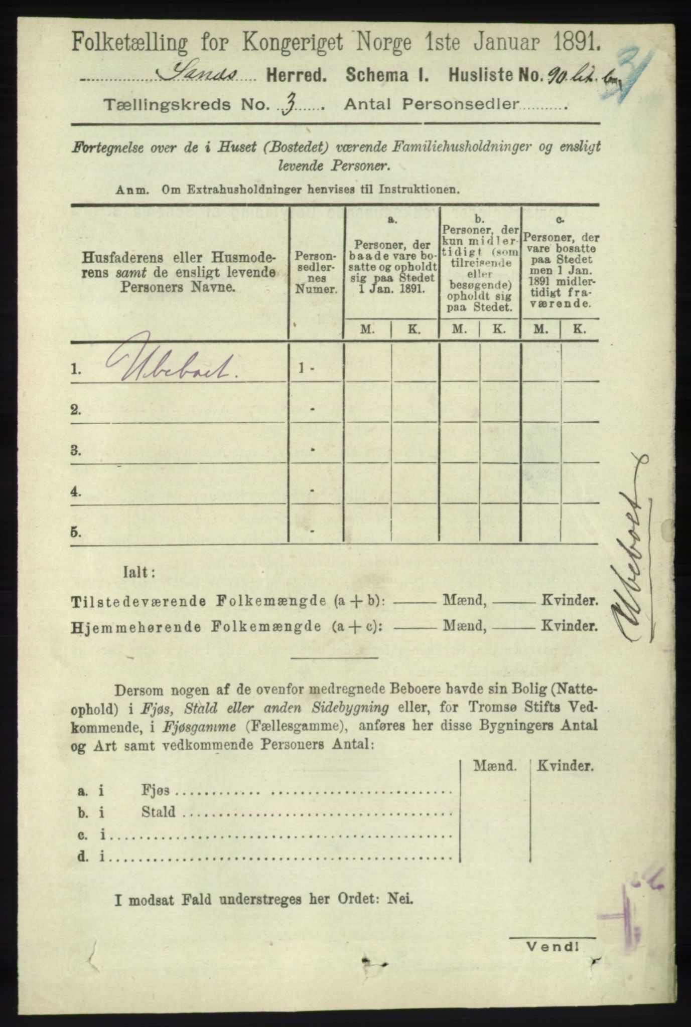 RA, 1891 census for 1136 Sand, 1891, p. 668