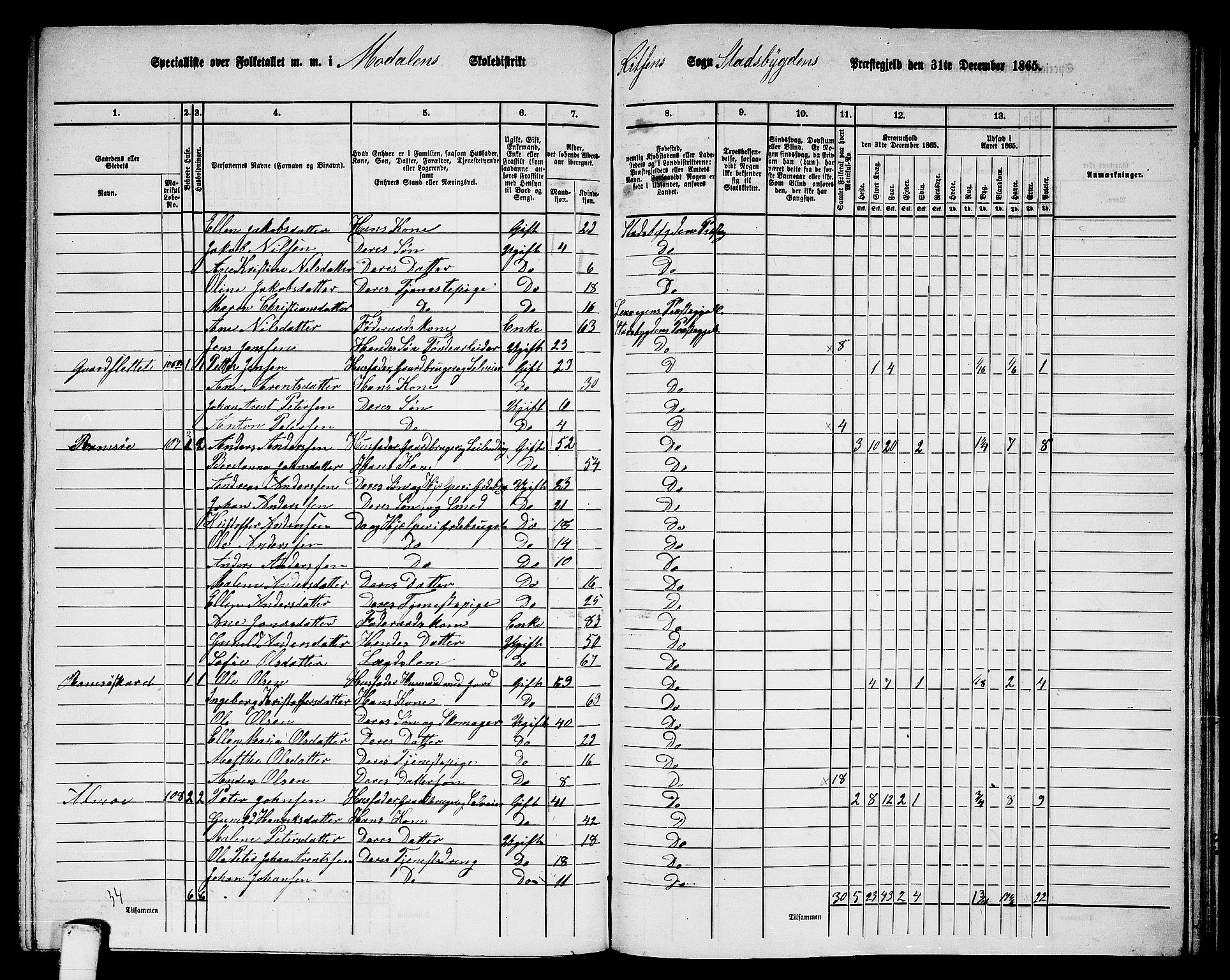 RA, 1865 census for Stadsbygd, 1865, p. 176